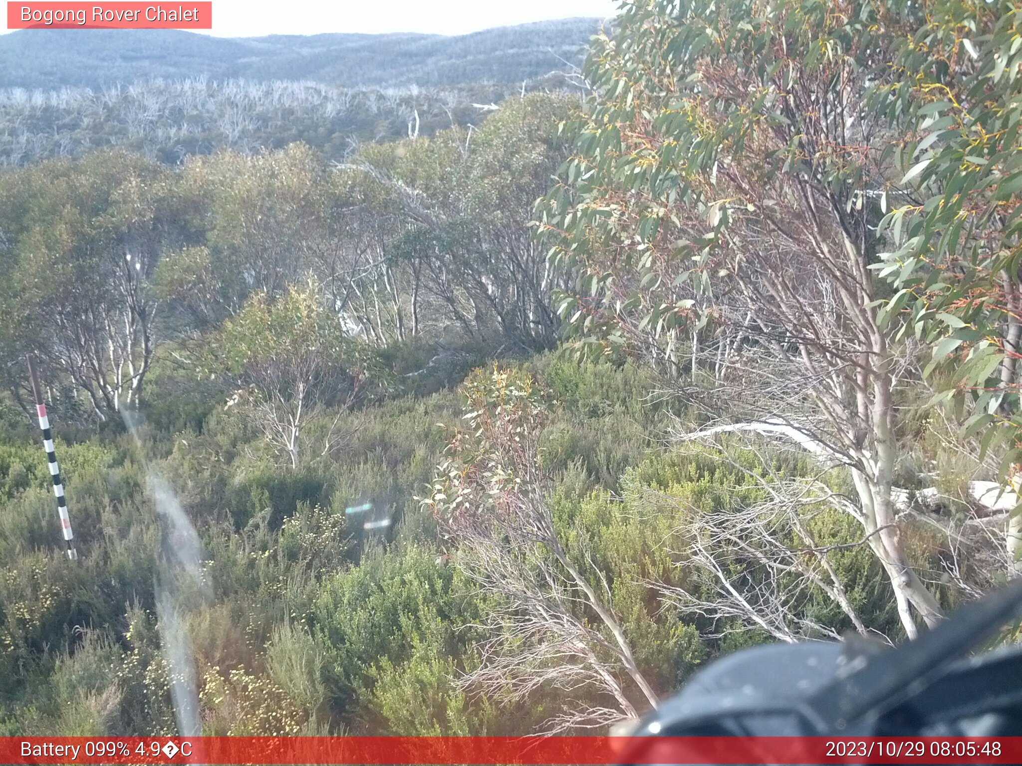 Bogong Web Cam 8:05am Sunday 29th of October 2023