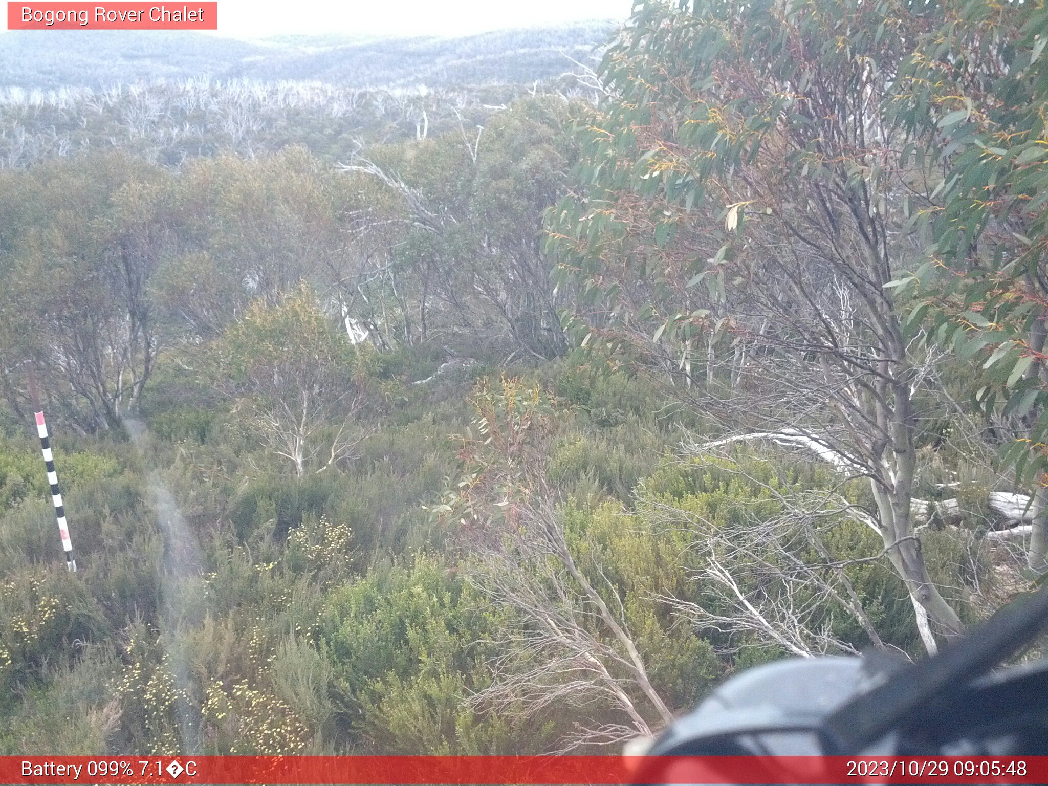 Bogong Web Cam 9:05am Sunday 29th of October 2023