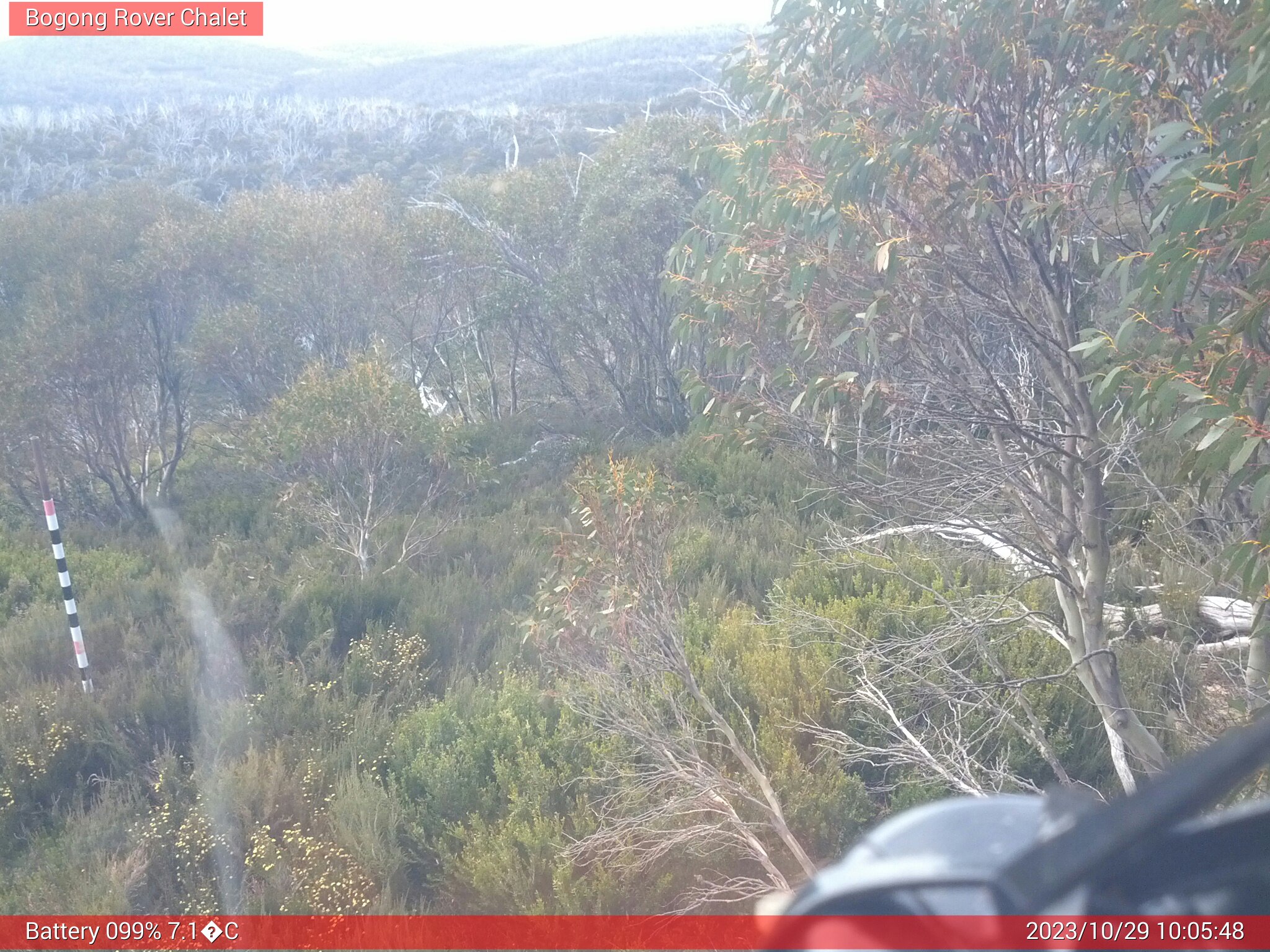 Bogong Web Cam 10:05am Sunday 29th of October 2023