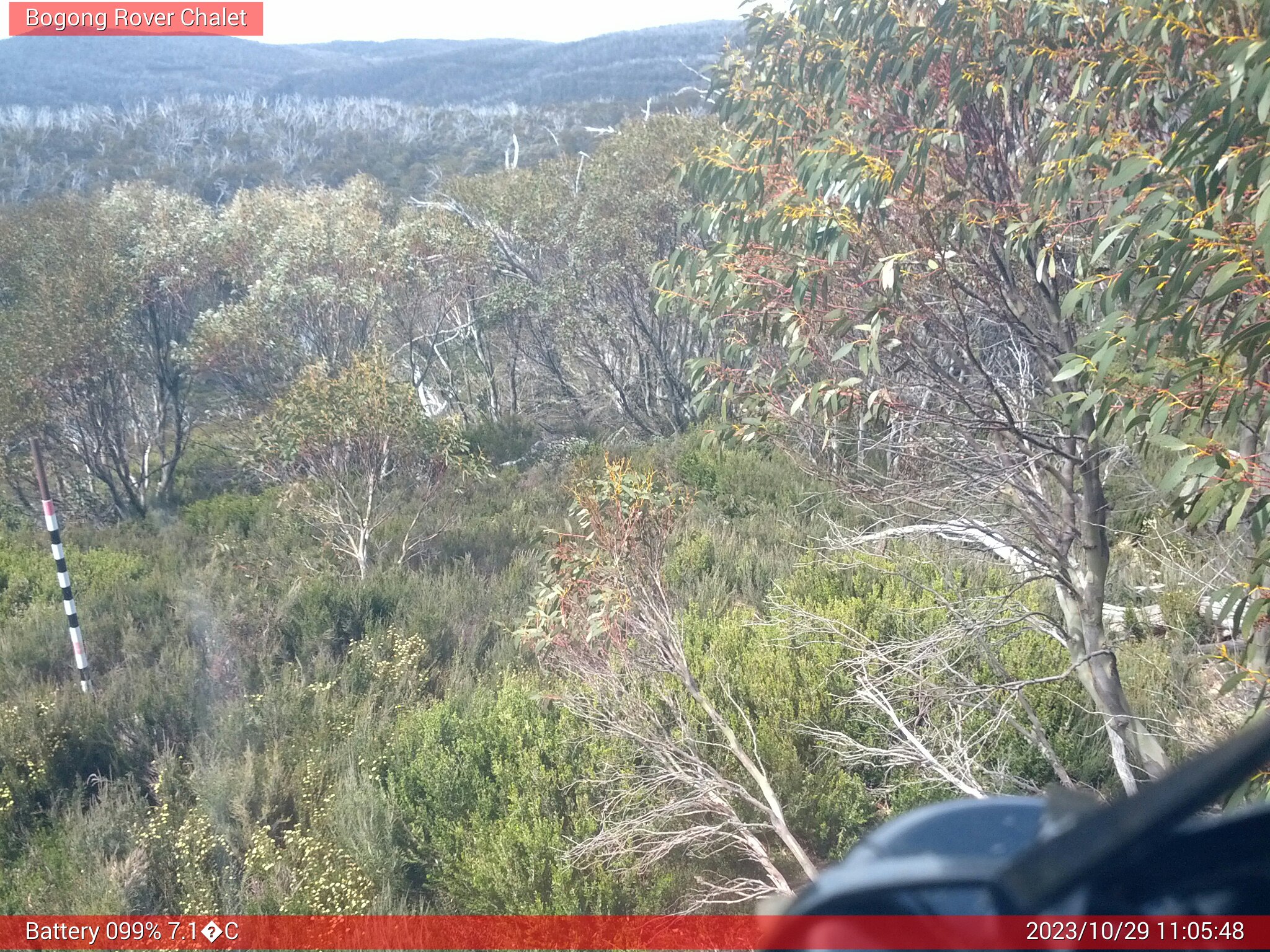 Bogong Web Cam 11:05am Sunday 29th of October 2023