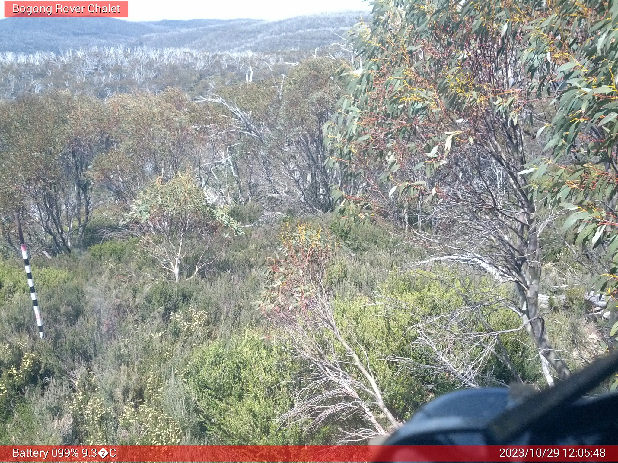 Bogong Web Cam 12:05pm Sunday 29th of October 2023