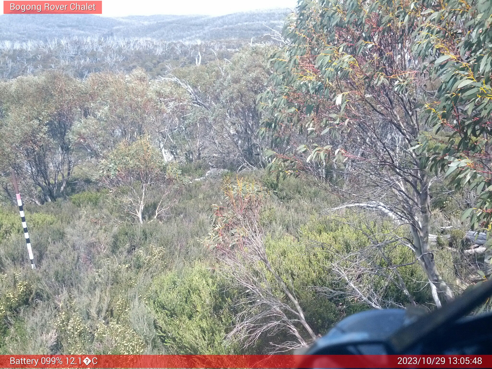 Bogong Web Cam 1:05pm Sunday 29th of October 2023