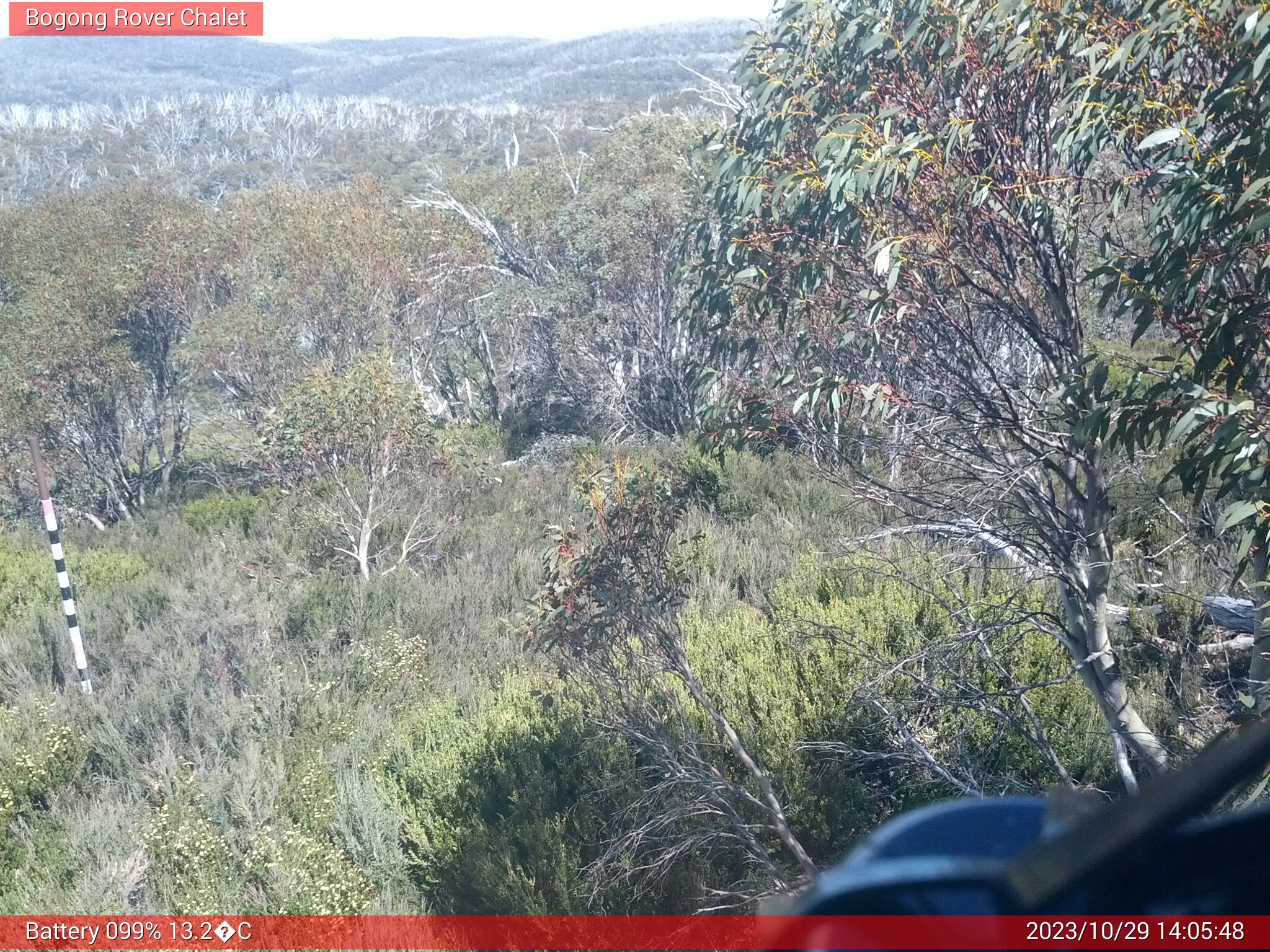 Bogong Web Cam 2:05pm Sunday 29th of October 2023