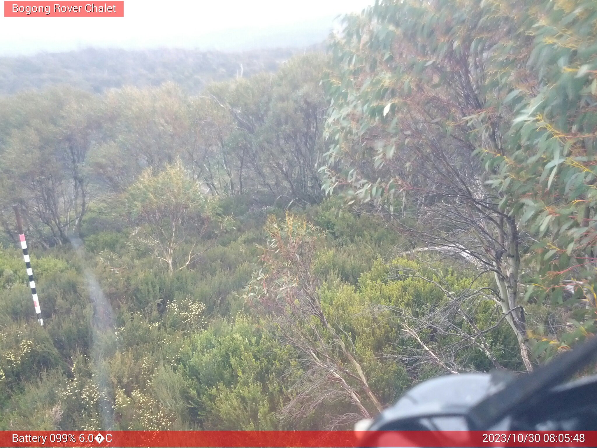 Bogong Web Cam 8:05am Monday 30th of October 2023