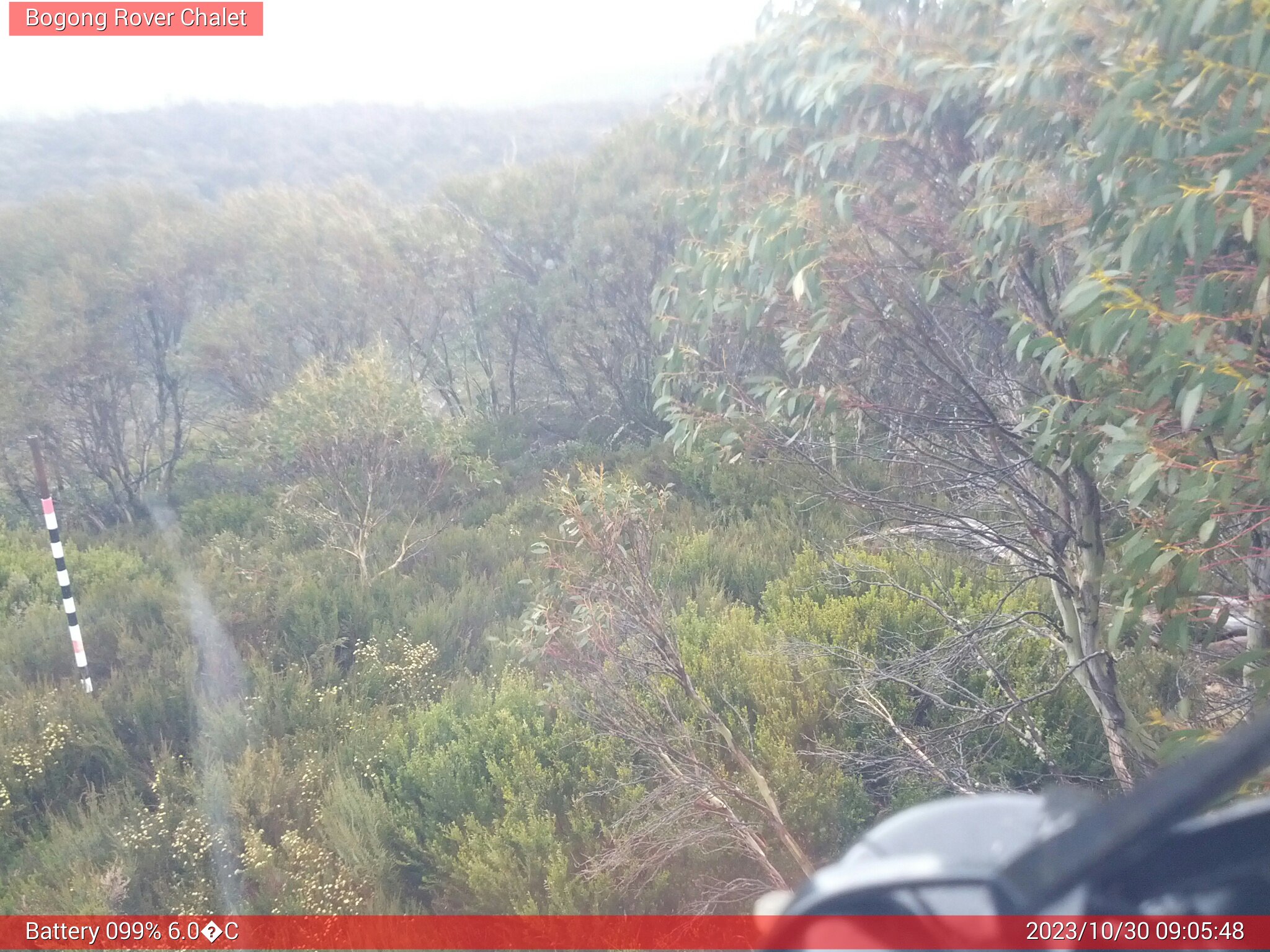 Bogong Web Cam 9:05am Monday 30th of October 2023