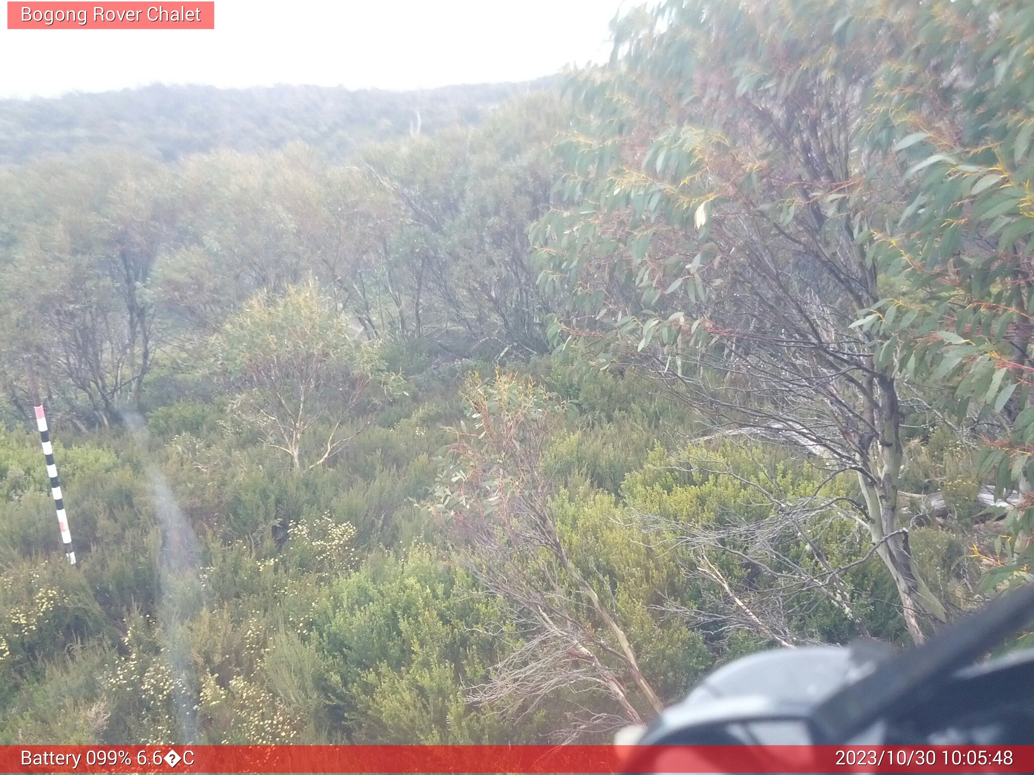 Bogong Web Cam 10:05am Monday 30th of October 2023