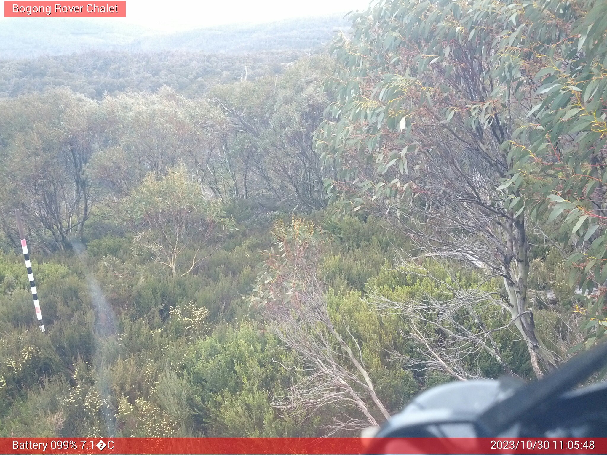 Bogong Web Cam 11:05am Monday 30th of October 2023