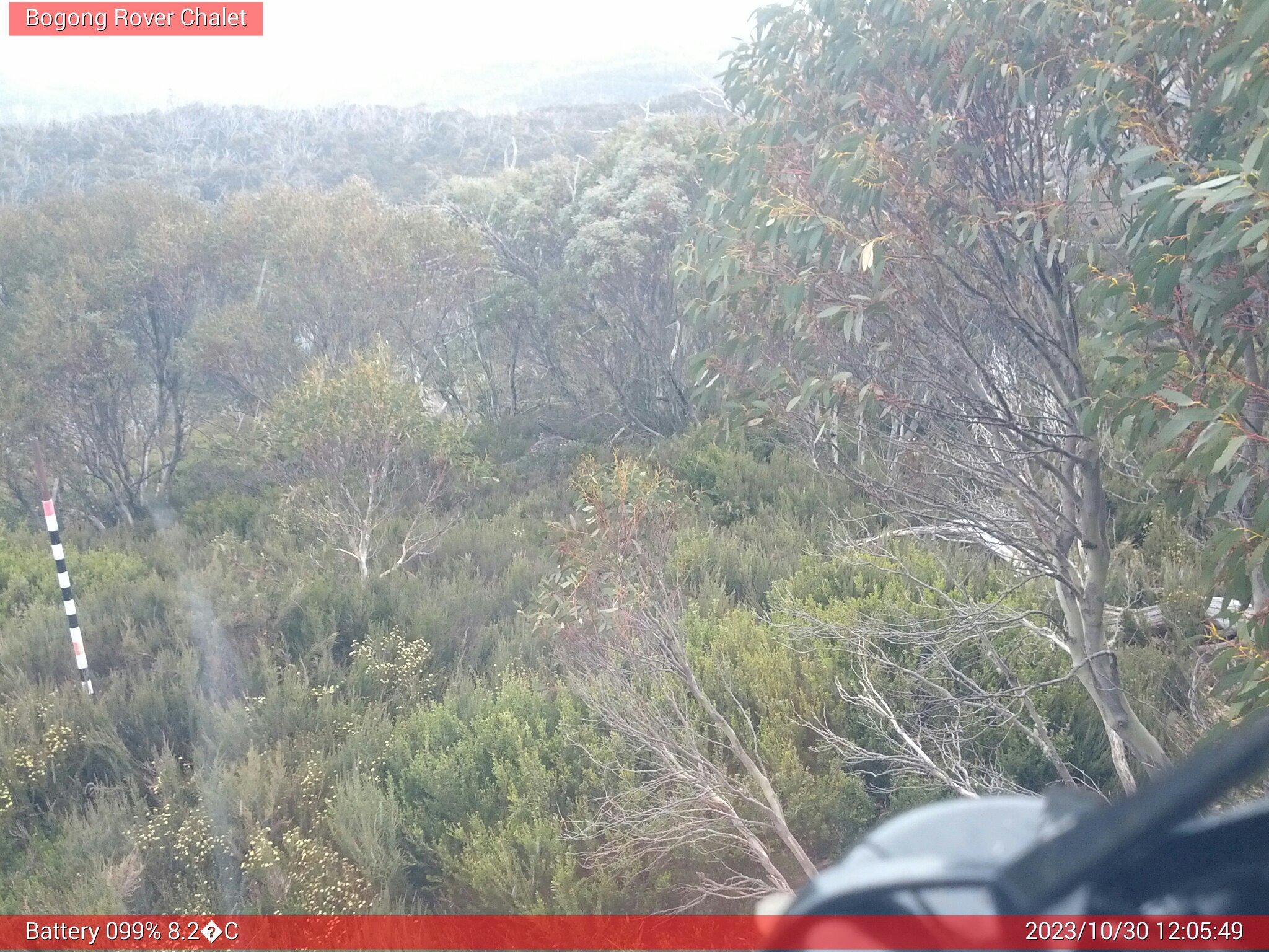 Bogong Web Cam 12:05pm Monday 30th of October 2023