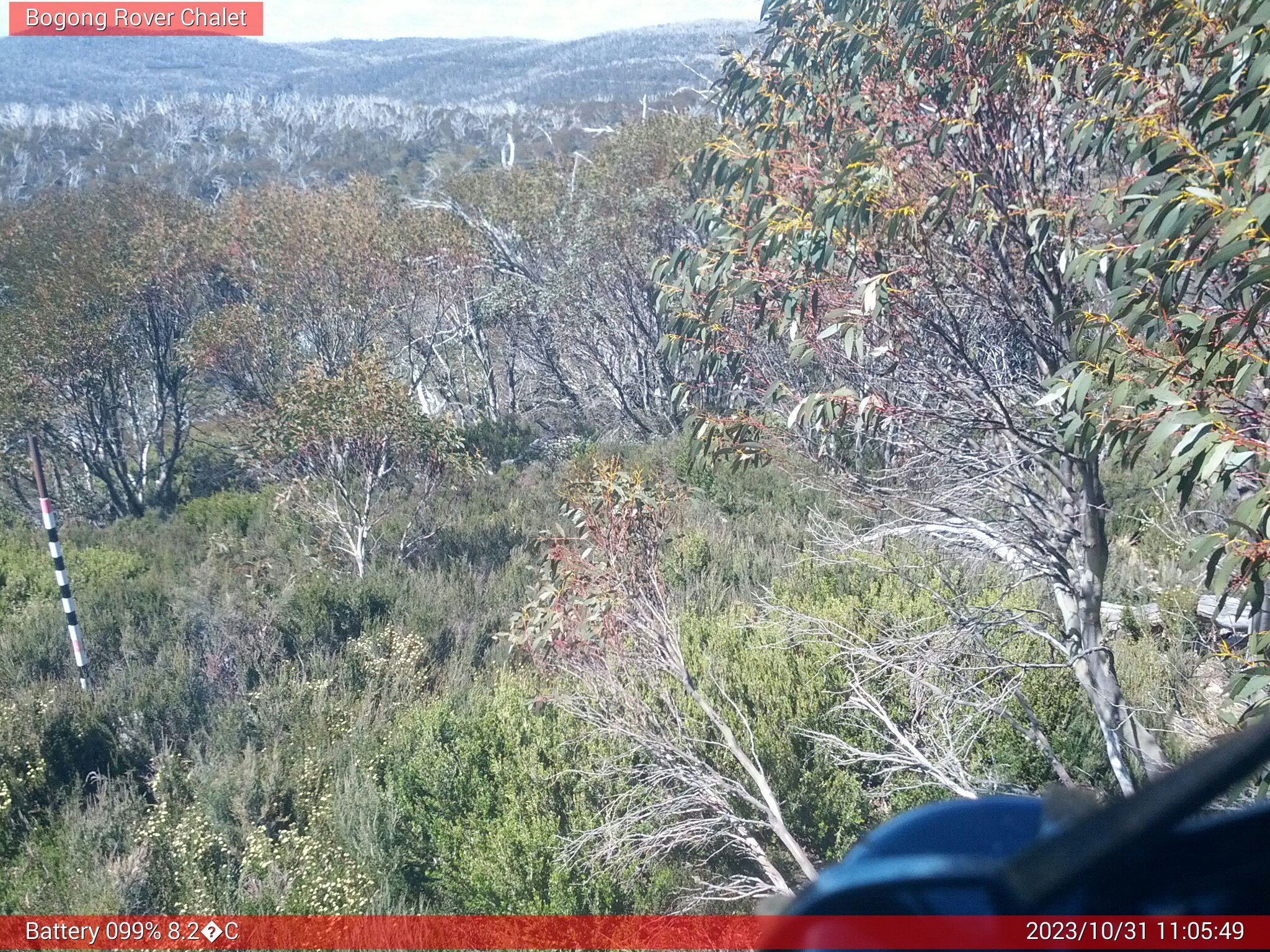 Bogong Web Cam 11:05am Tuesday 31st of October 2023