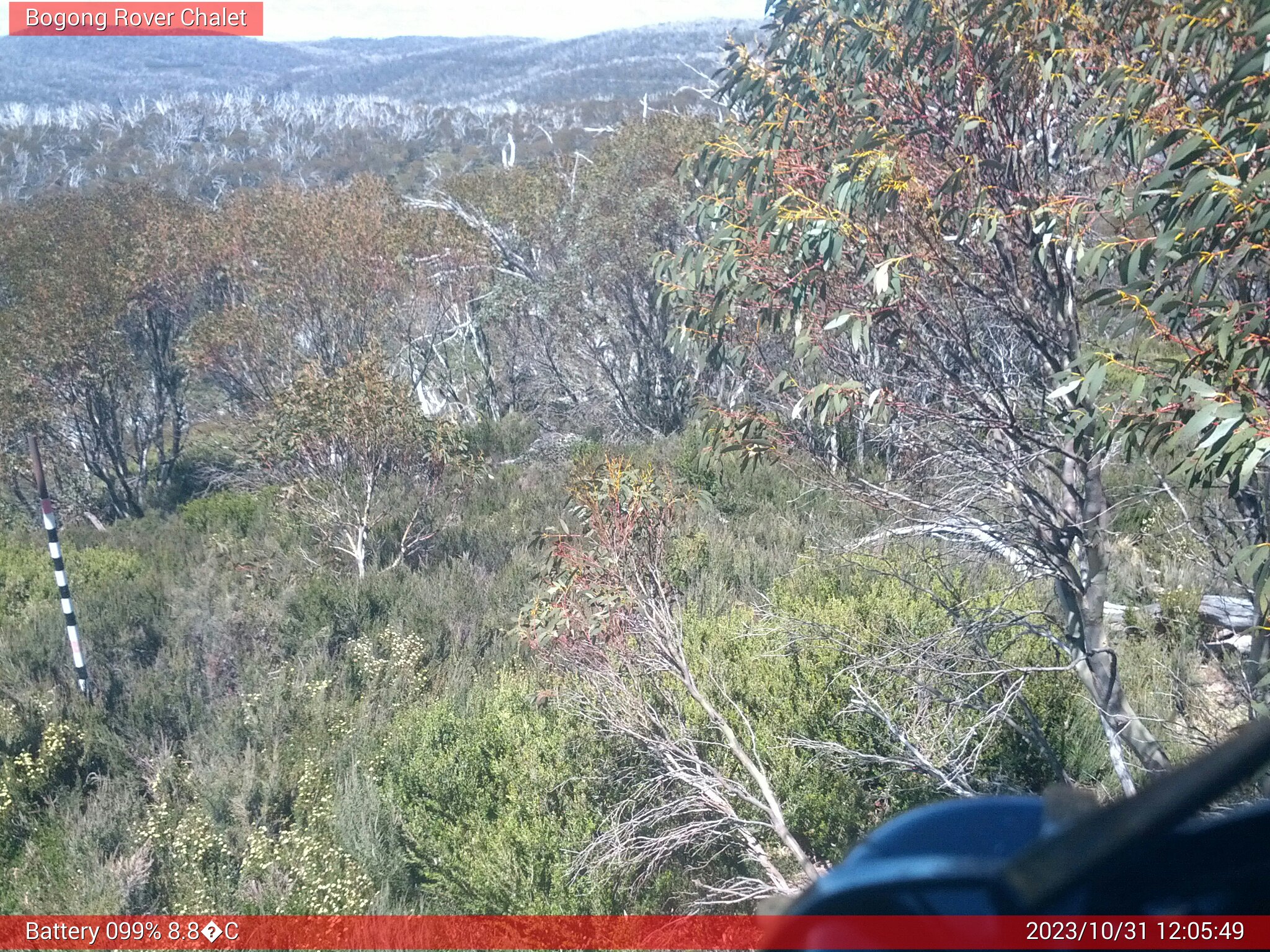 Bogong Web Cam 12:05pm Tuesday 31st of October 2023