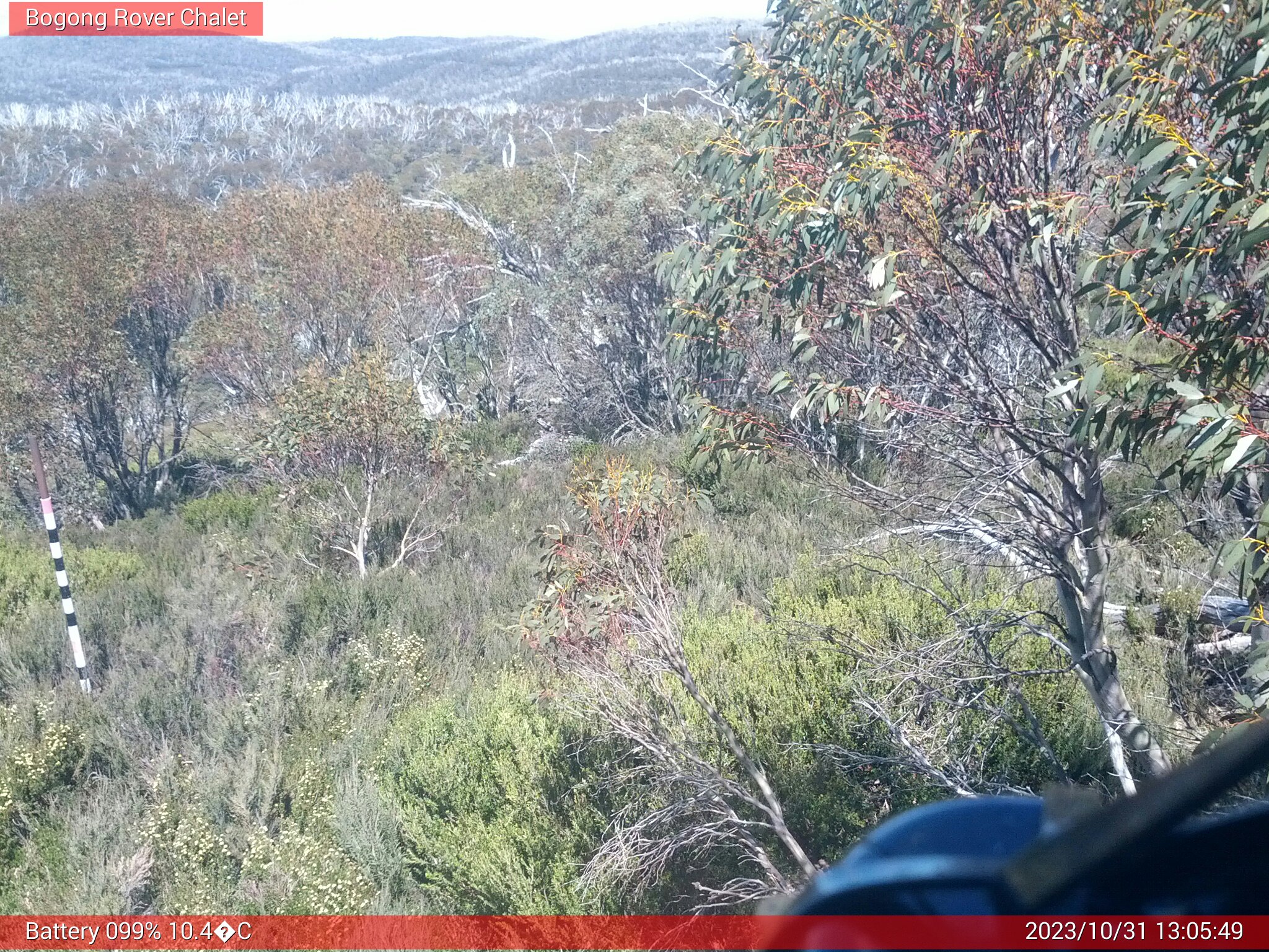 Bogong Web Cam 1:05pm Tuesday 31st of October 2023