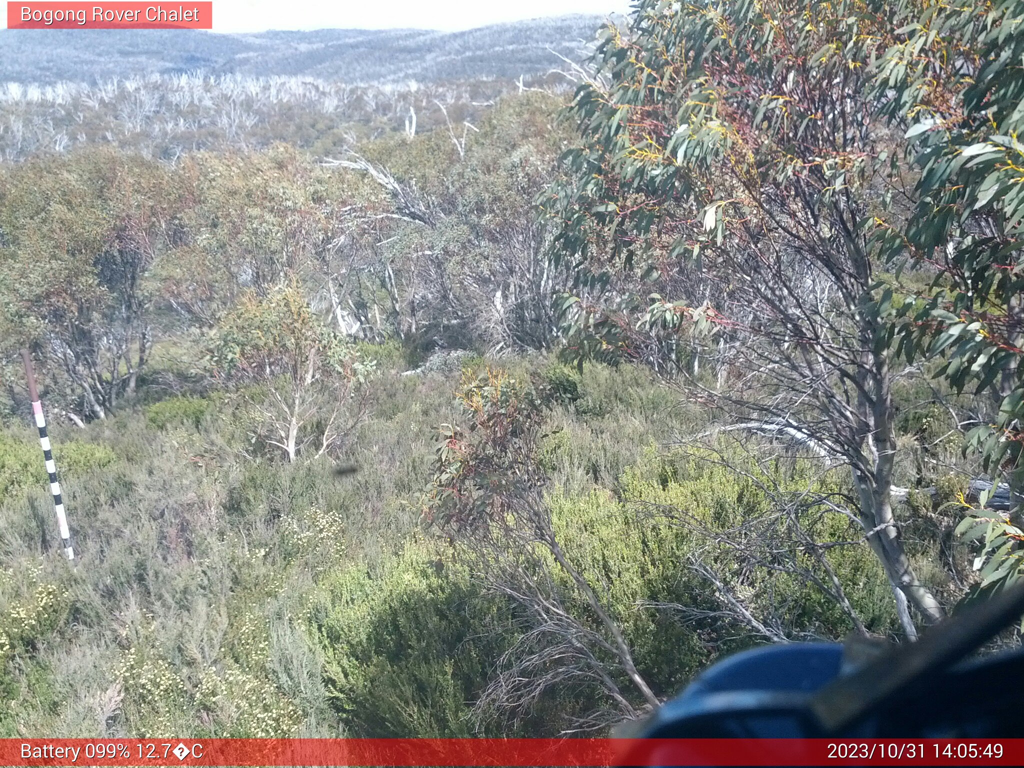 Bogong Web Cam 2:05pm Tuesday 31st of October 2023