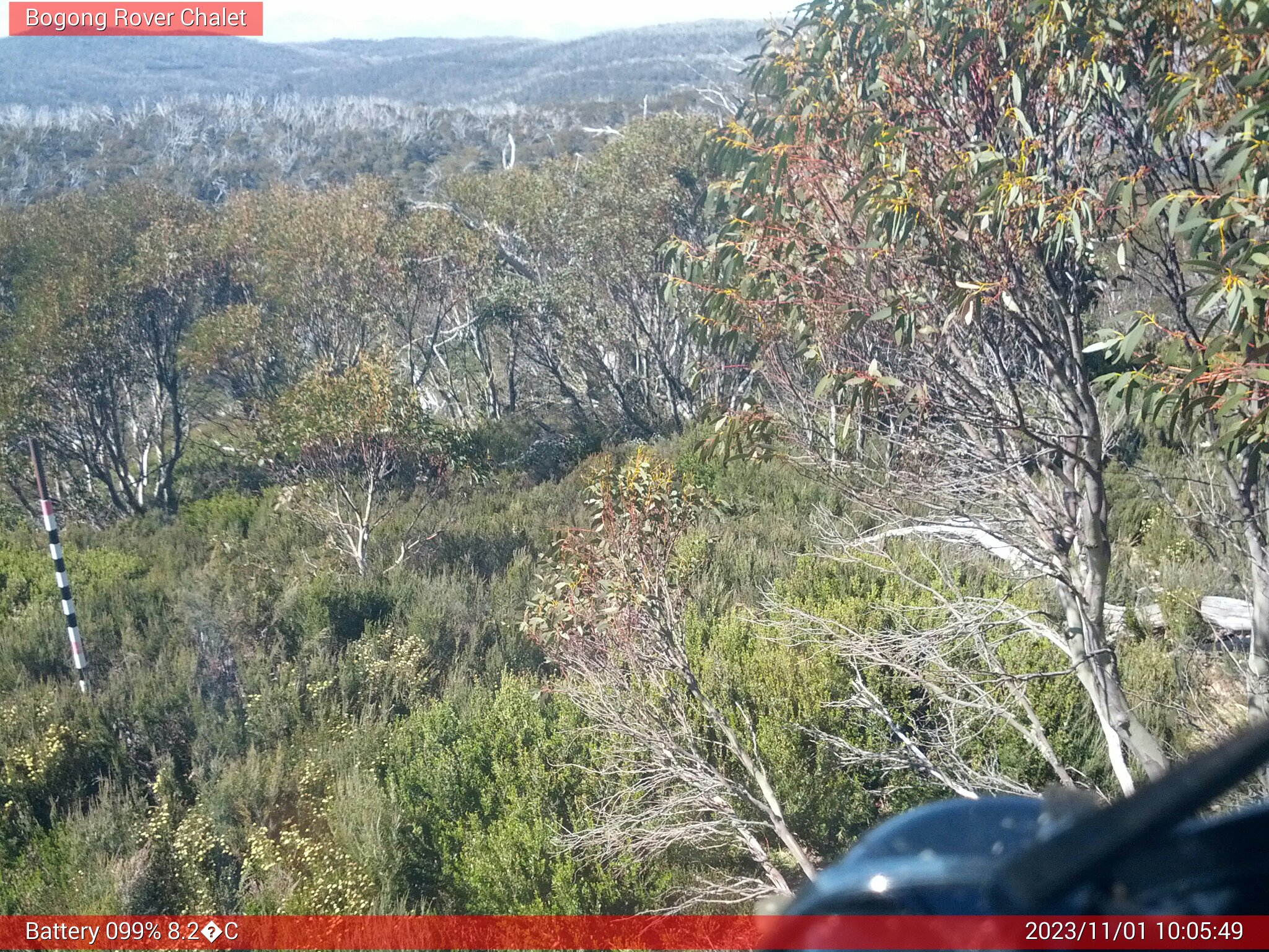 Bogong Web Cam 10:05am Wednesday 1st of November 2023