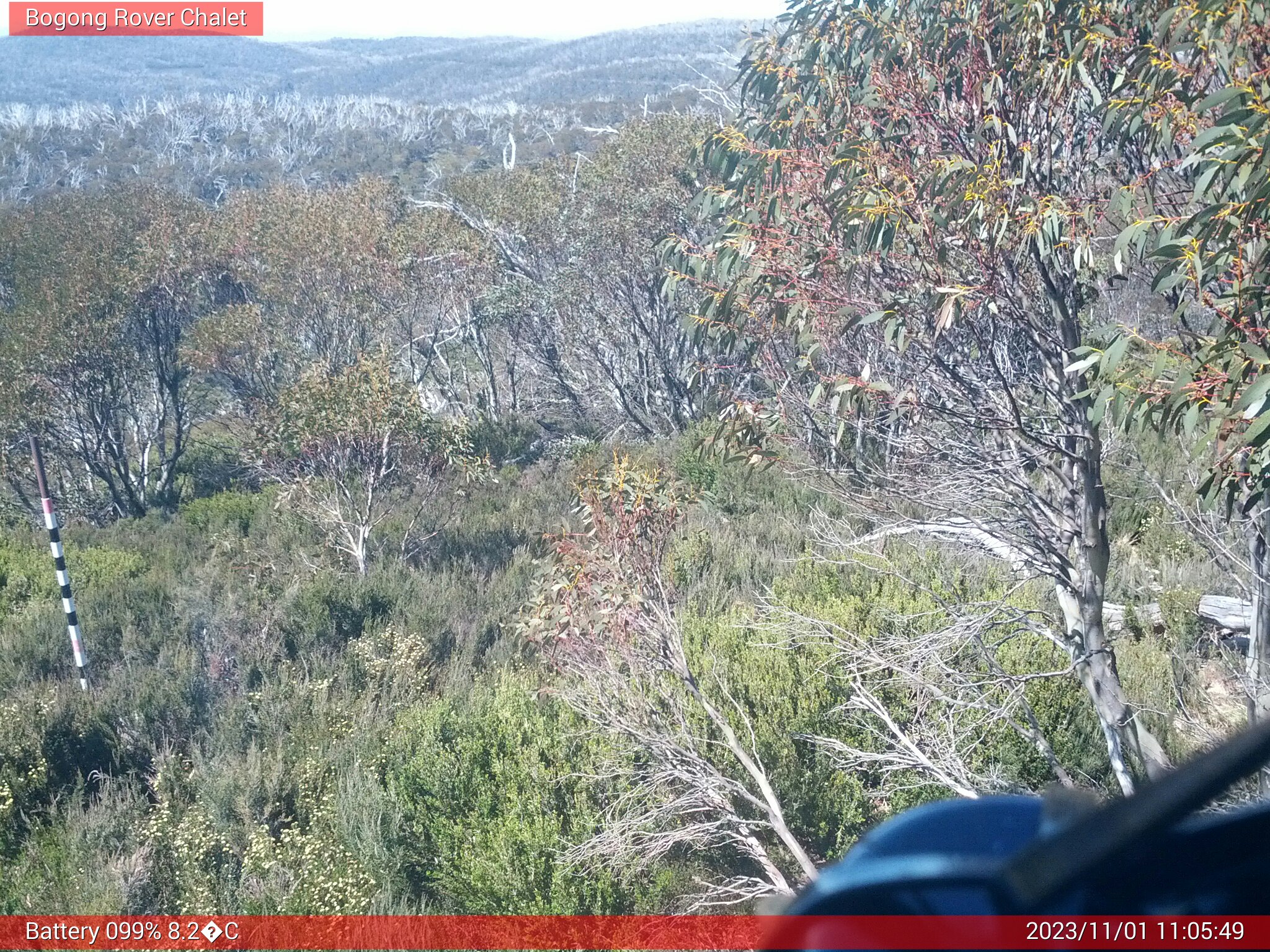 Bogong Web Cam 11:05am Wednesday 1st of November 2023