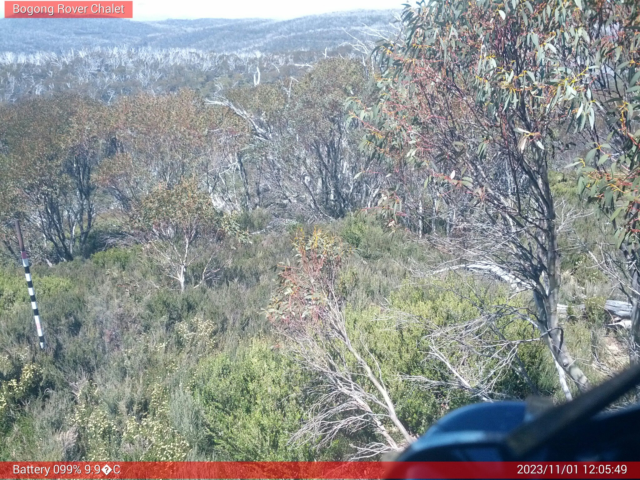 Bogong Web Cam 12:05pm Wednesday 1st of November 2023