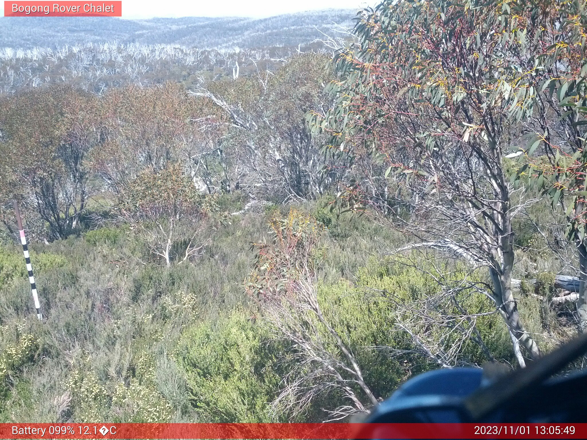 Bogong Web Cam 1:05pm Wednesday 1st of November 2023