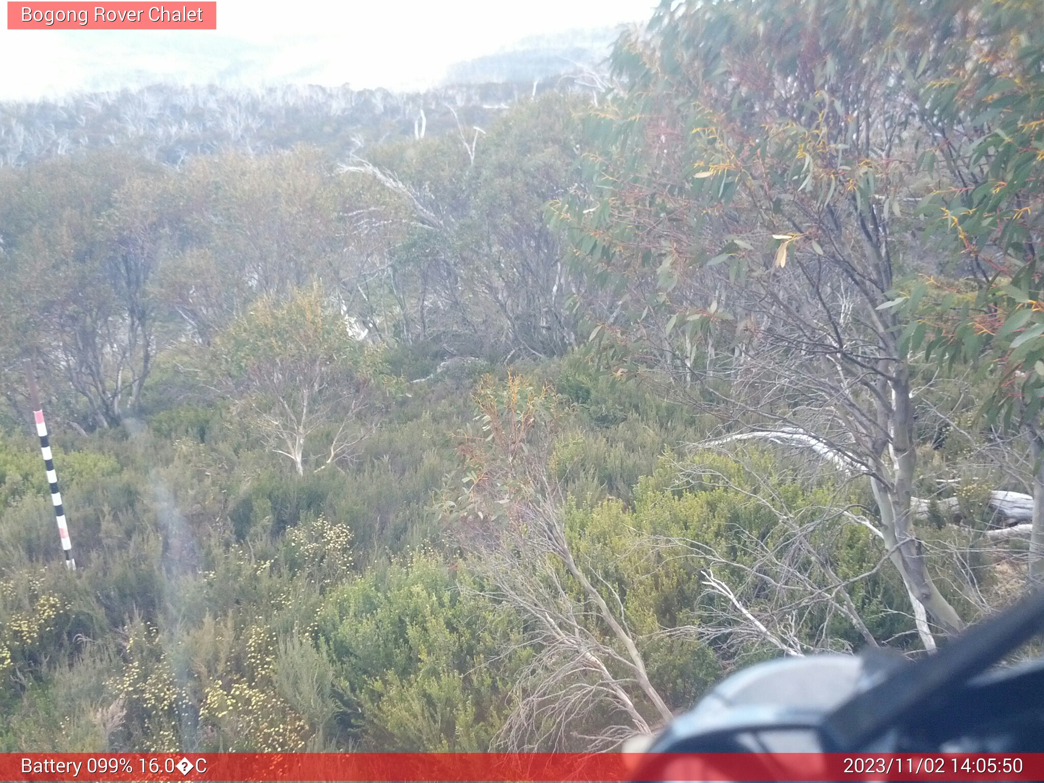 Bogong Web Cam 2:05pm Thursday 2nd of November 2023