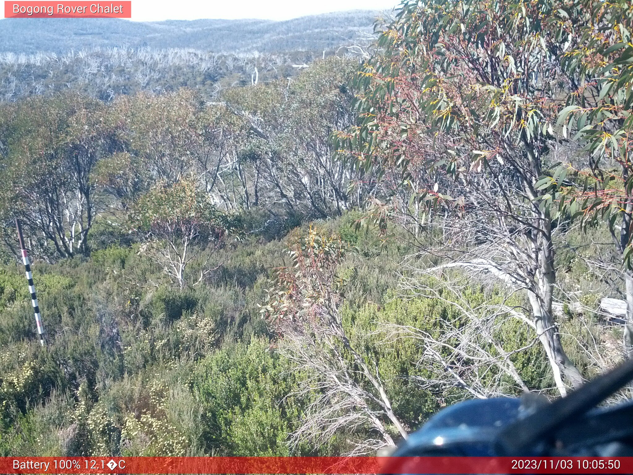 Bogong Web Cam 10:05am Friday 3rd of November 2023