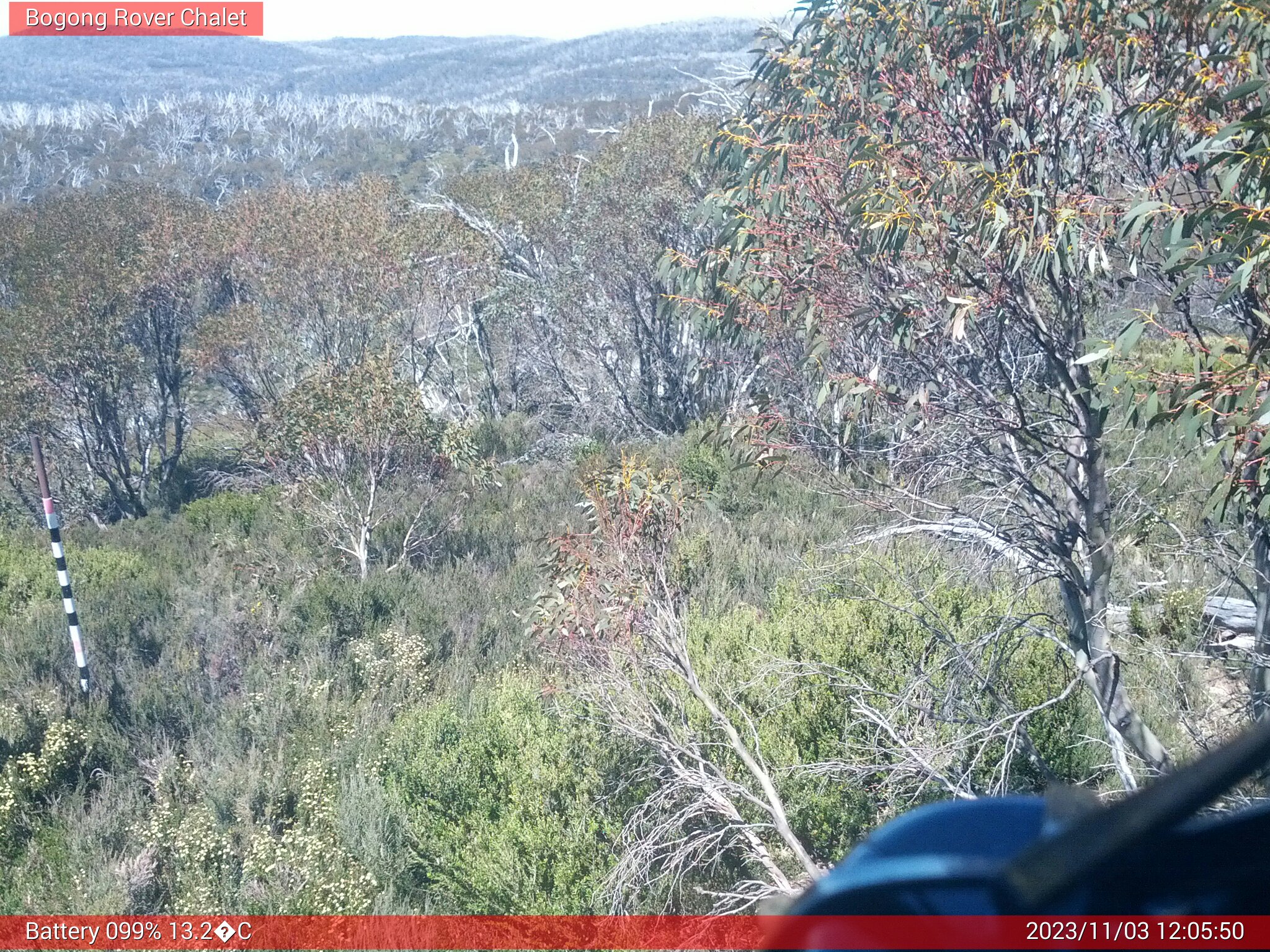 Bogong Web Cam 12:05pm Friday 3rd of November 2023