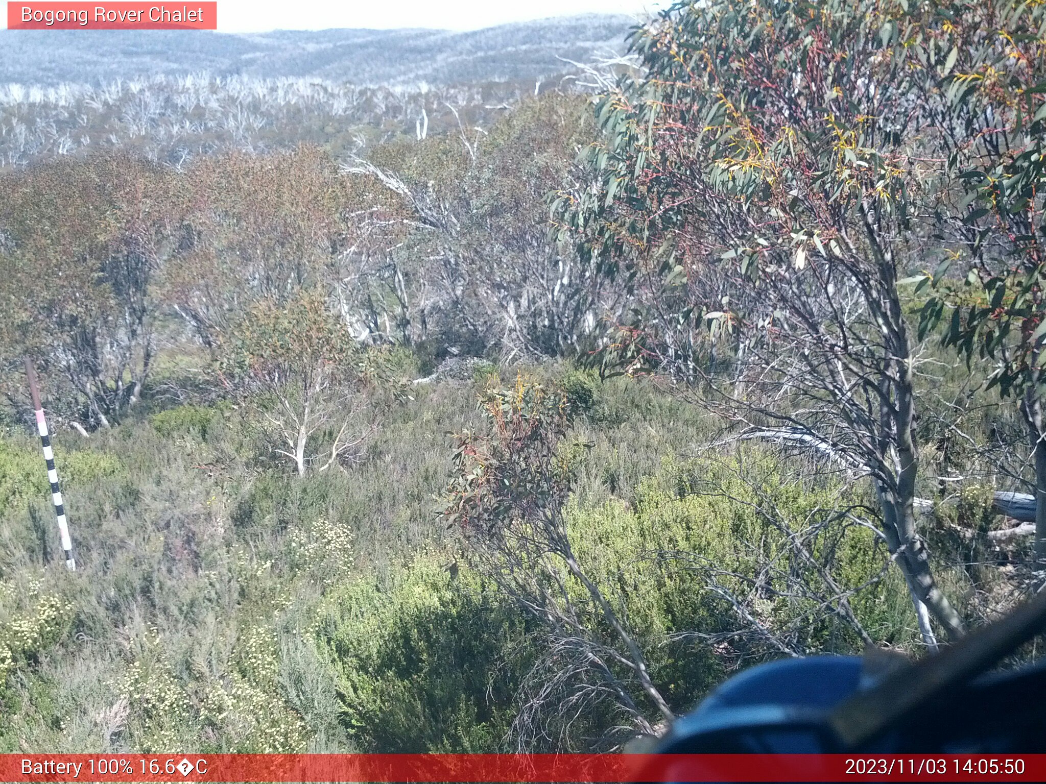 Bogong Web Cam 2:05pm Friday 3rd of November 2023