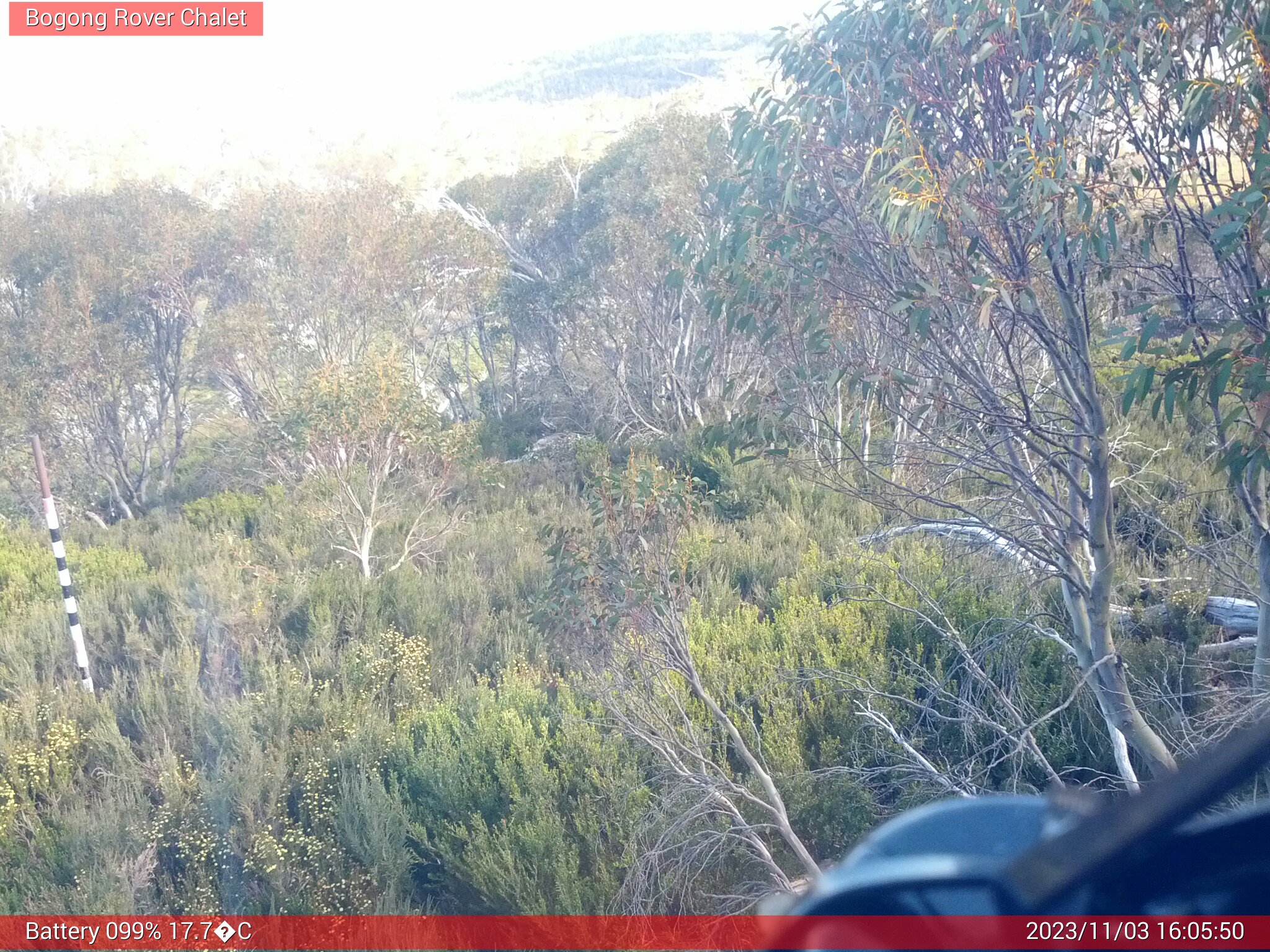 Bogong Web Cam 4:05pm Friday 3rd of November 2023