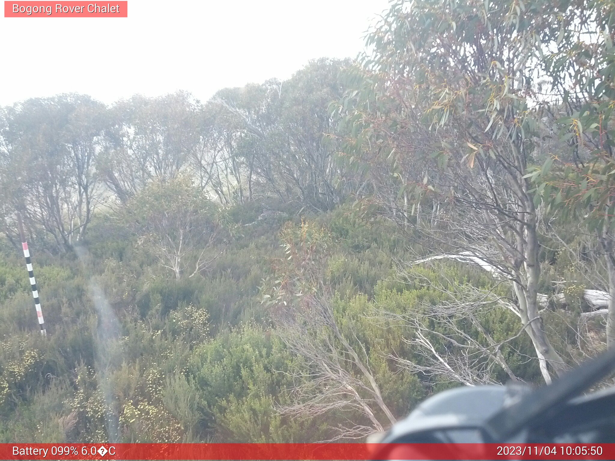 Bogong Web Cam 10:05am Saturday 4th of November 2023