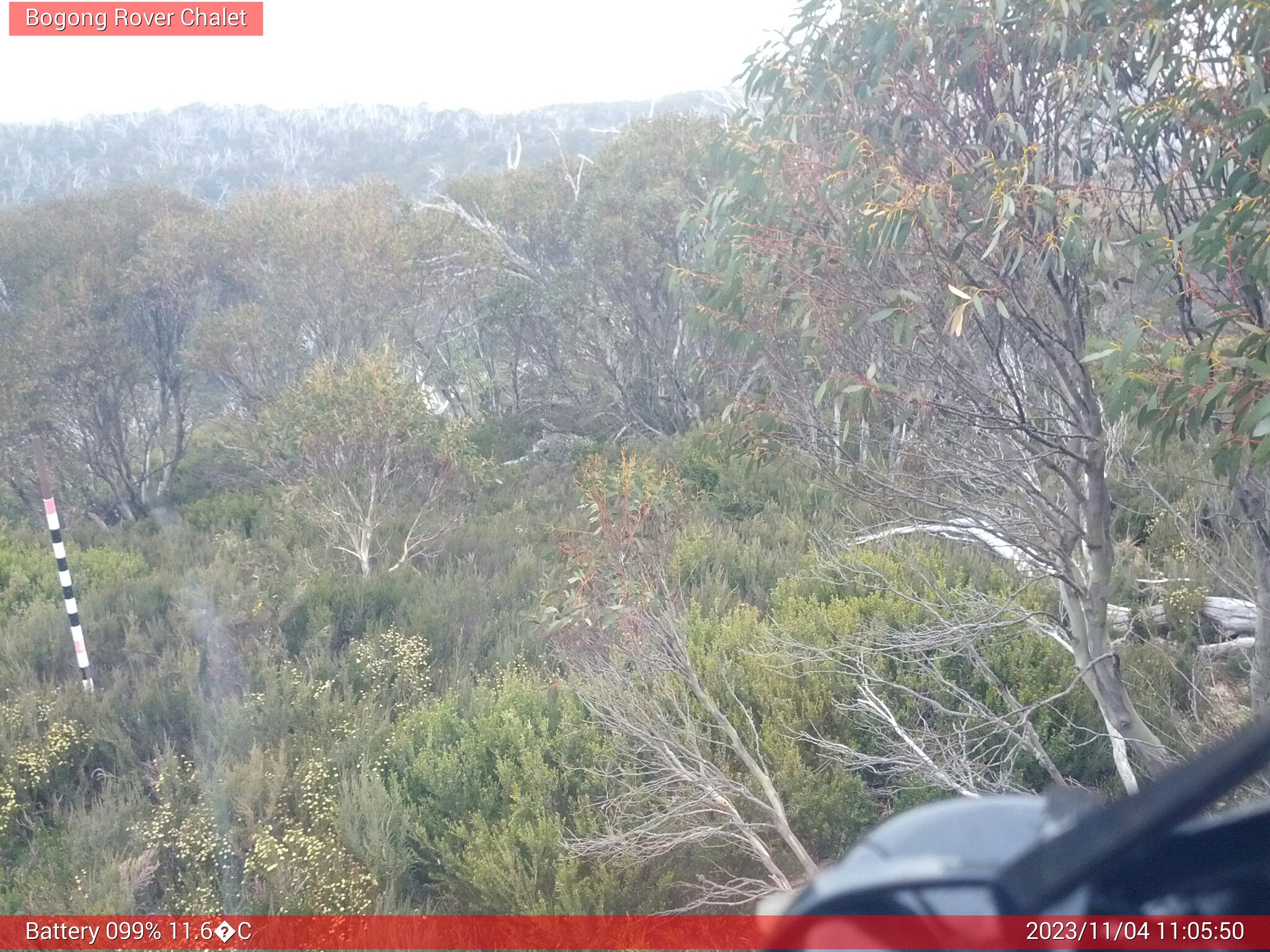 Bogong Web Cam 11:05am Saturday 4th of November 2023