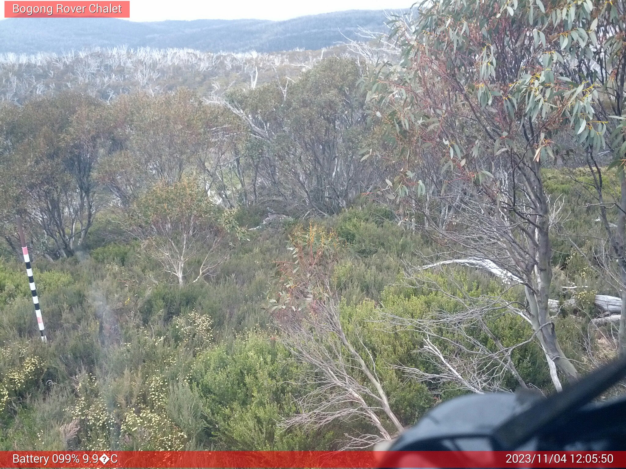 Bogong Web Cam 12:05pm Saturday 4th of November 2023