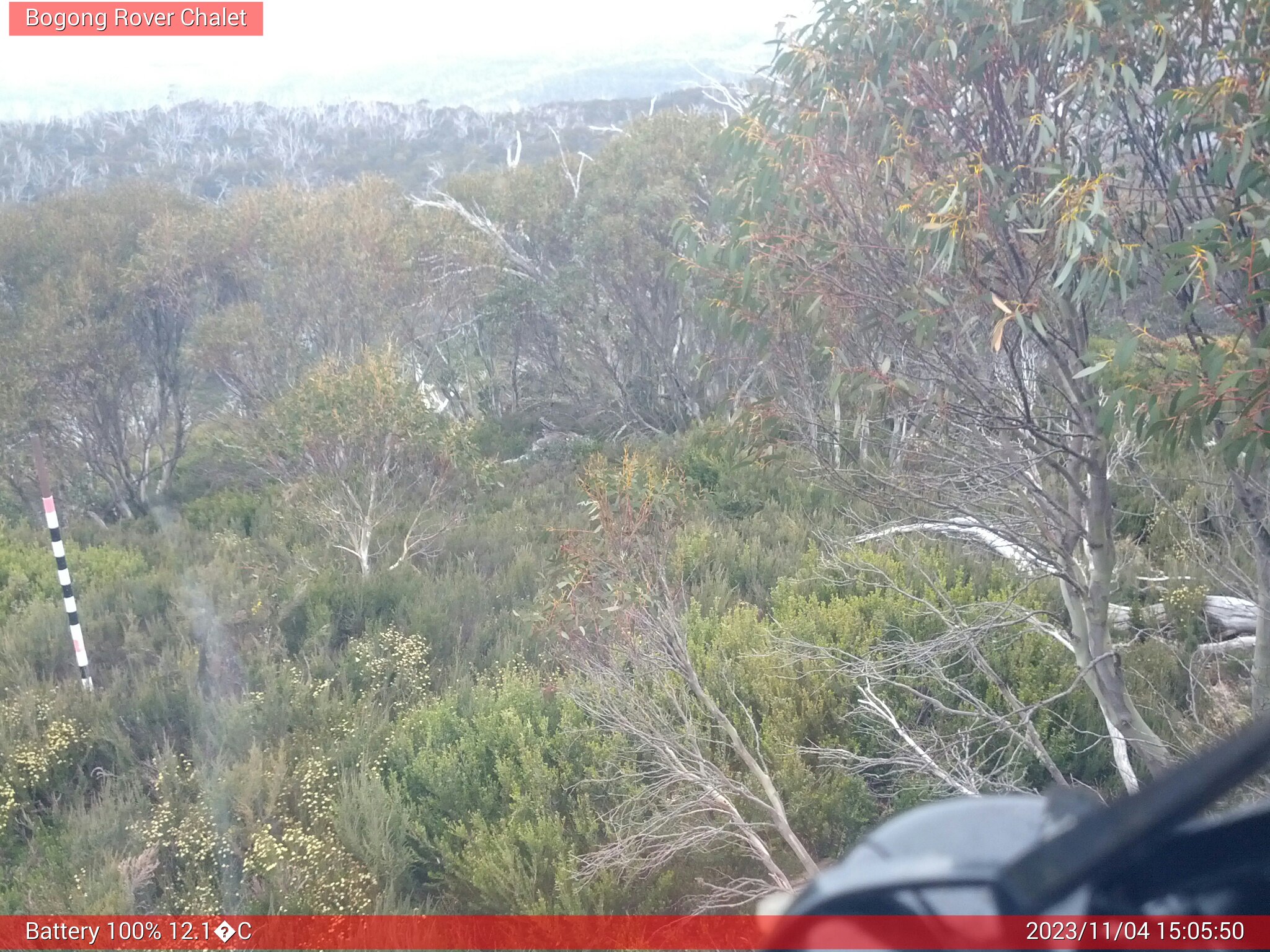 Bogong Web Cam 3:05pm Saturday 4th of November 2023