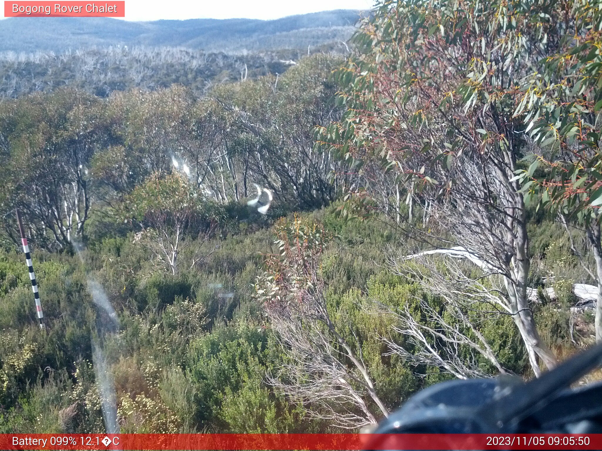 Bogong Web Cam 9:05am Sunday 5th of November 2023