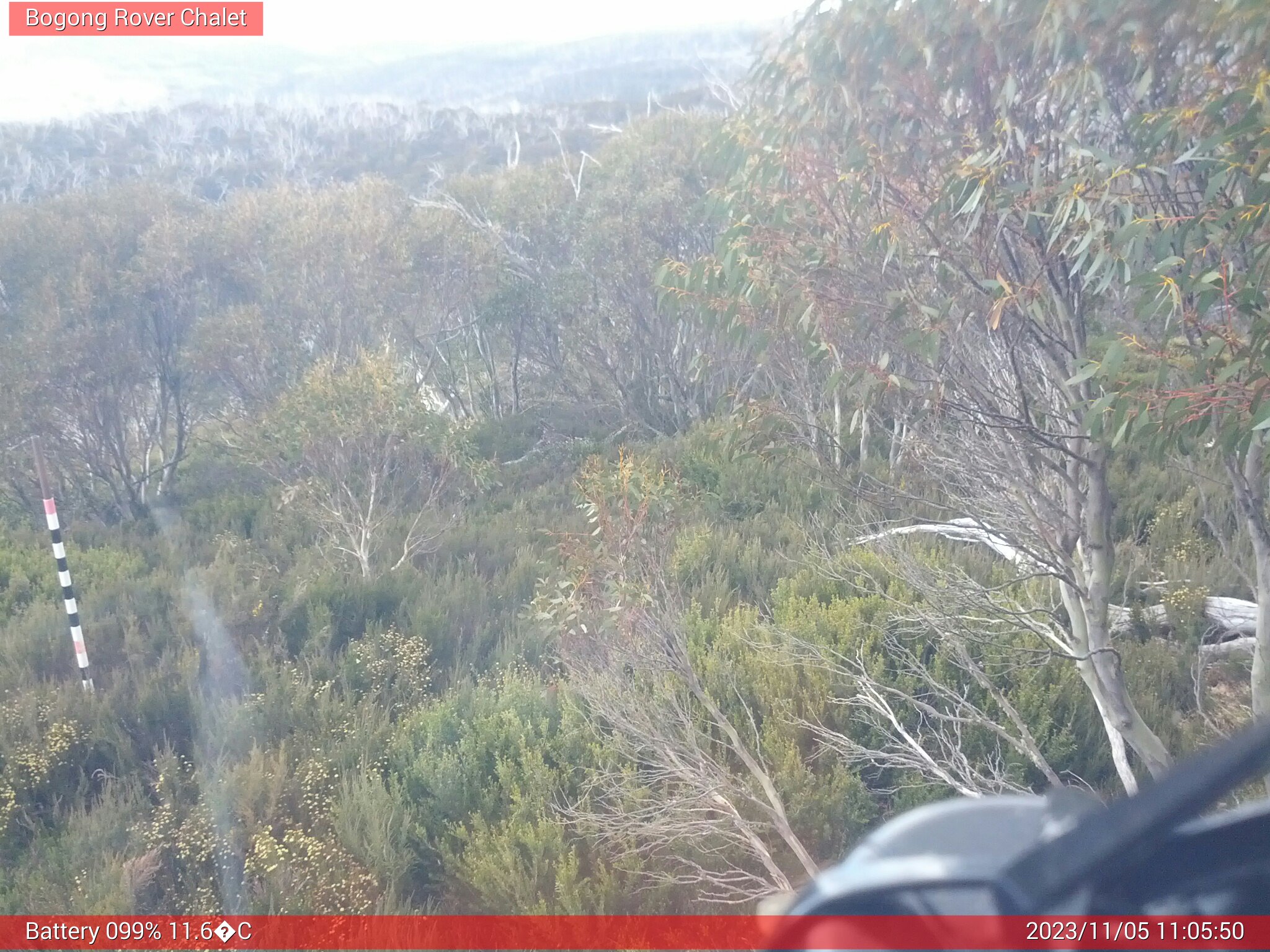 Bogong Web Cam 11:05am Sunday 5th of November 2023