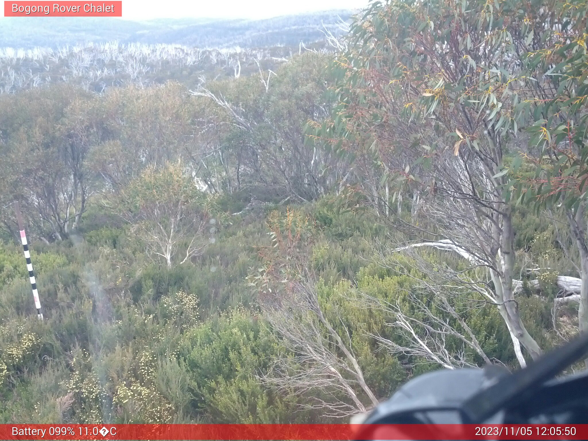 Bogong Web Cam 12:05pm Sunday 5th of November 2023