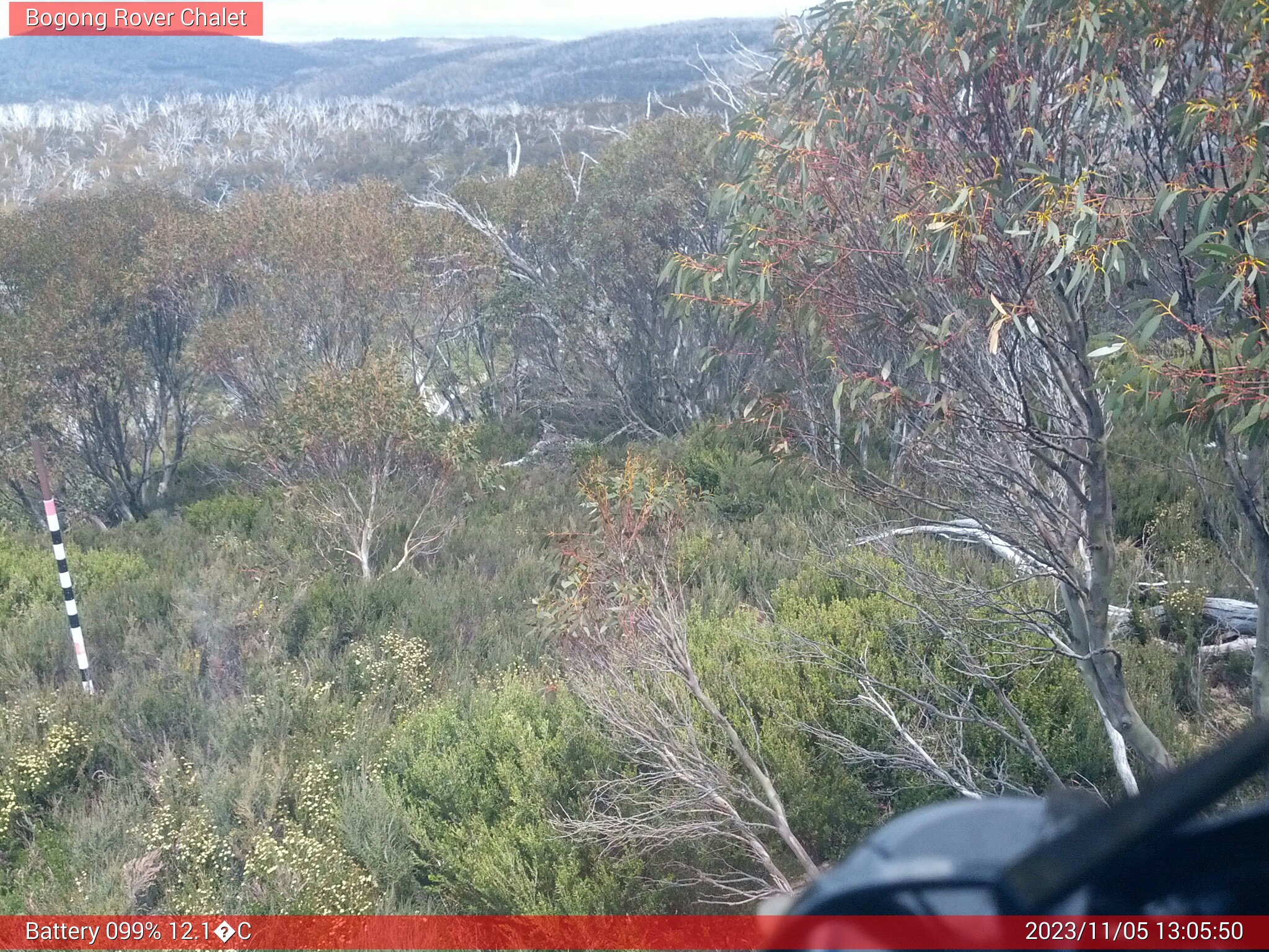 Bogong Web Cam 1:05pm Sunday 5th of November 2023