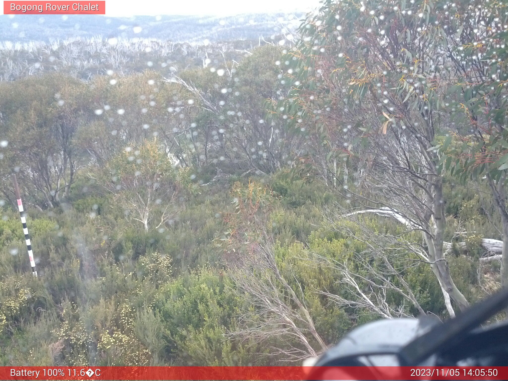 Bogong Web Cam 2:05pm Sunday 5th of November 2023