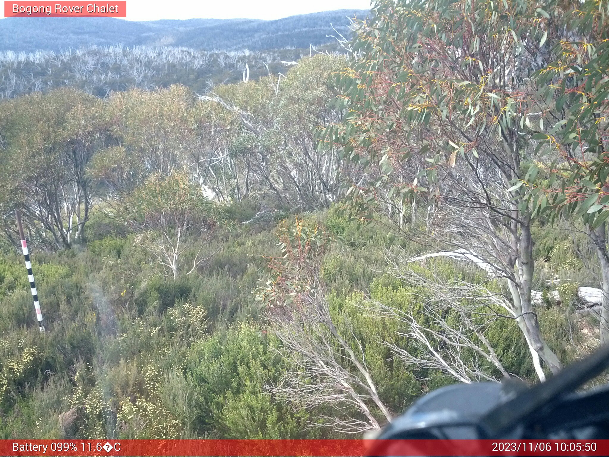 Bogong Web Cam 10:05am Monday 6th of November 2023