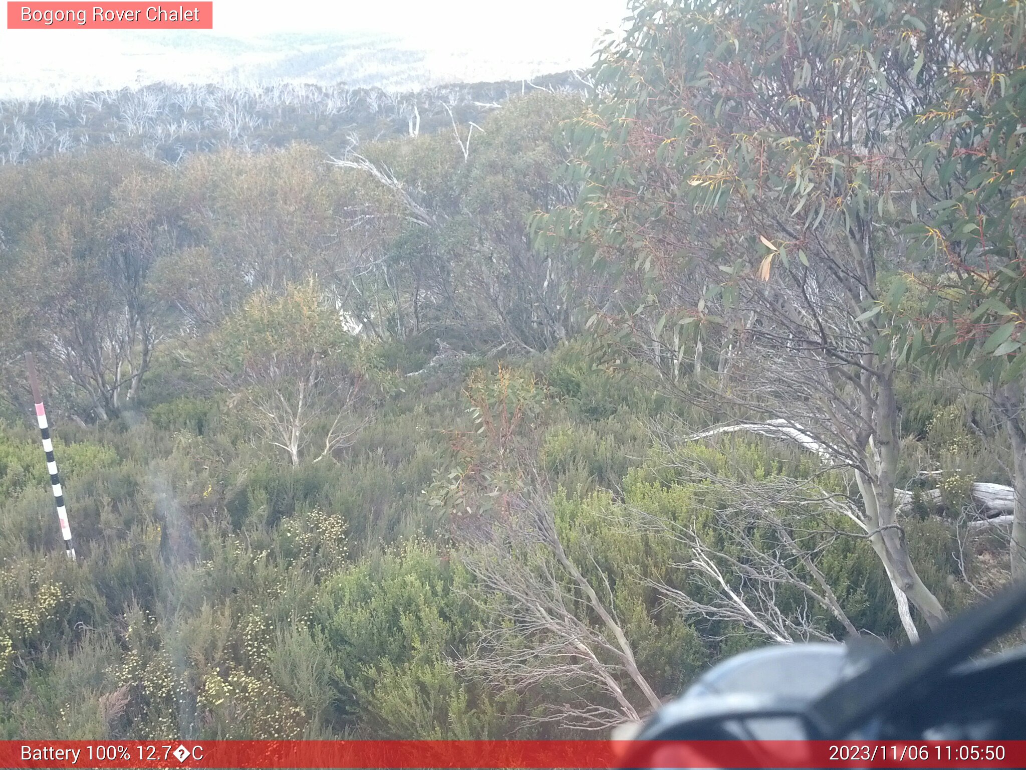 Bogong Web Cam 11:05am Monday 6th of November 2023