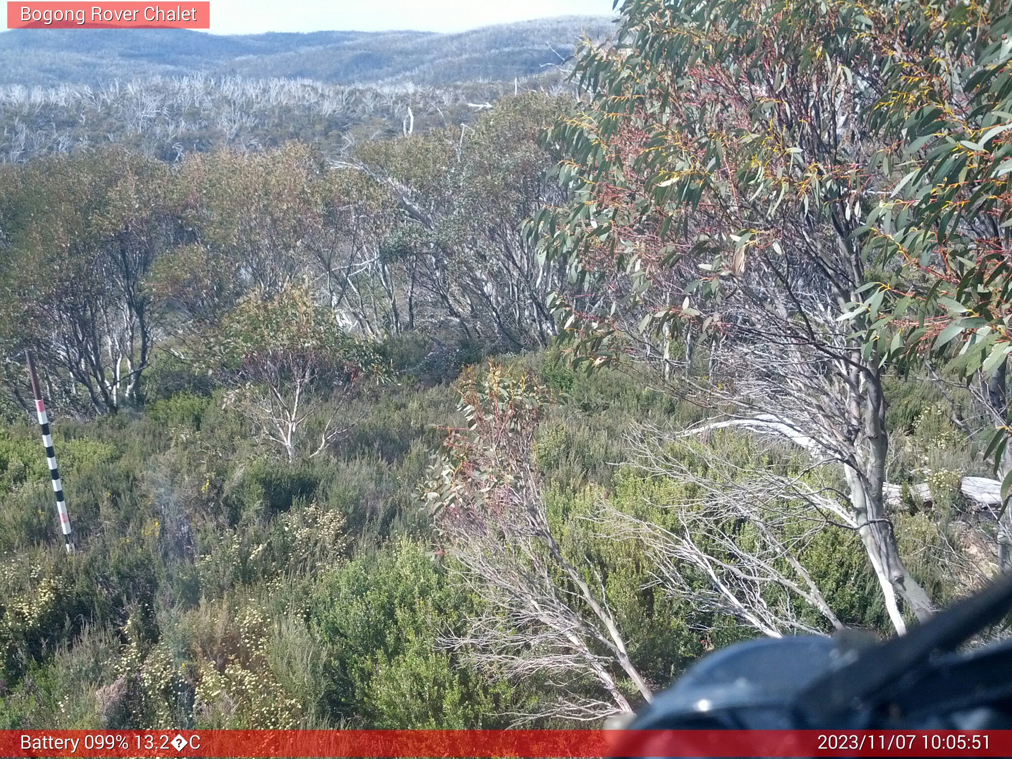 Bogong Web Cam 10:05am Tuesday 7th of November 2023