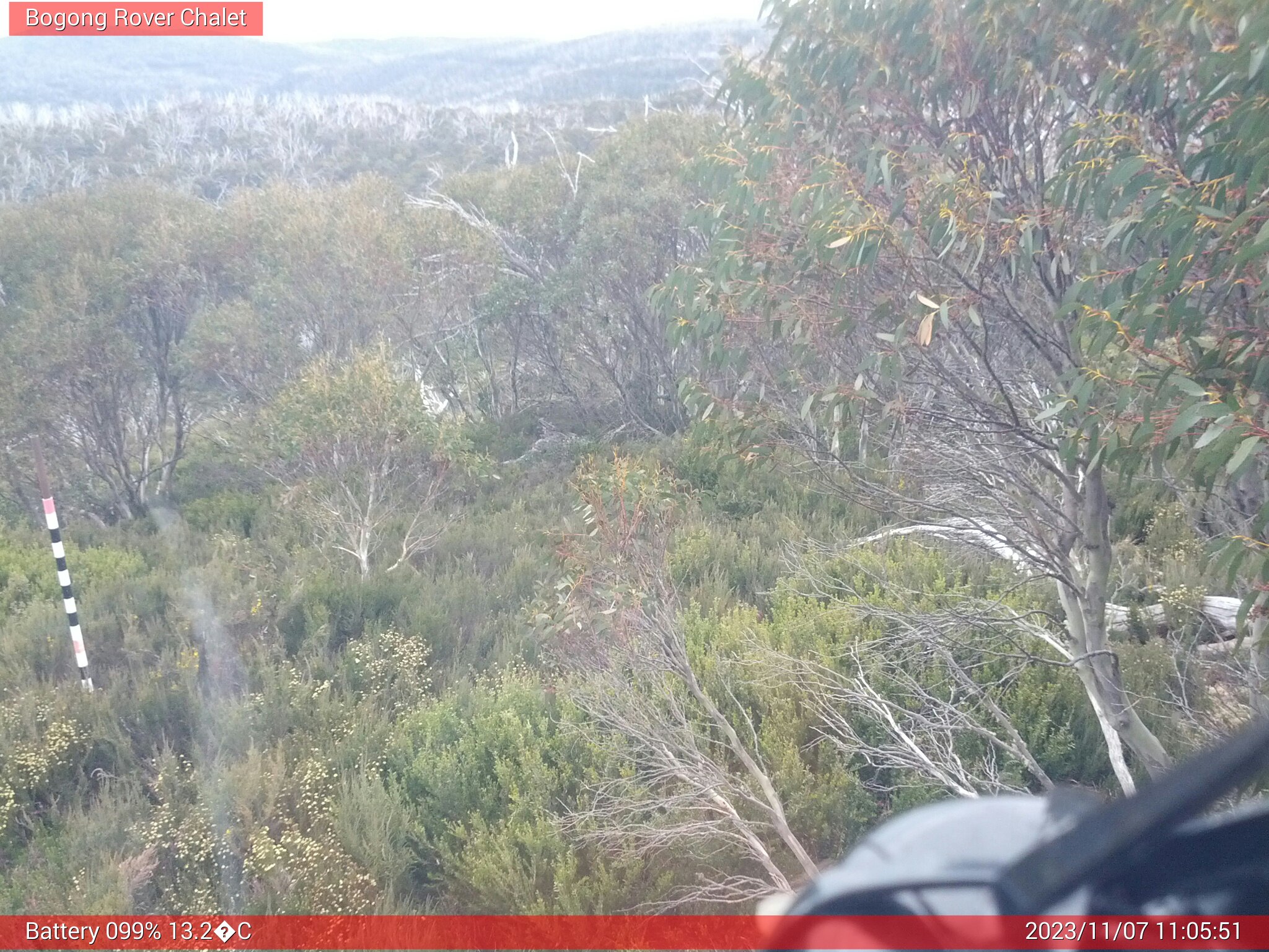 Bogong Web Cam 11:05am Tuesday 7th of November 2023