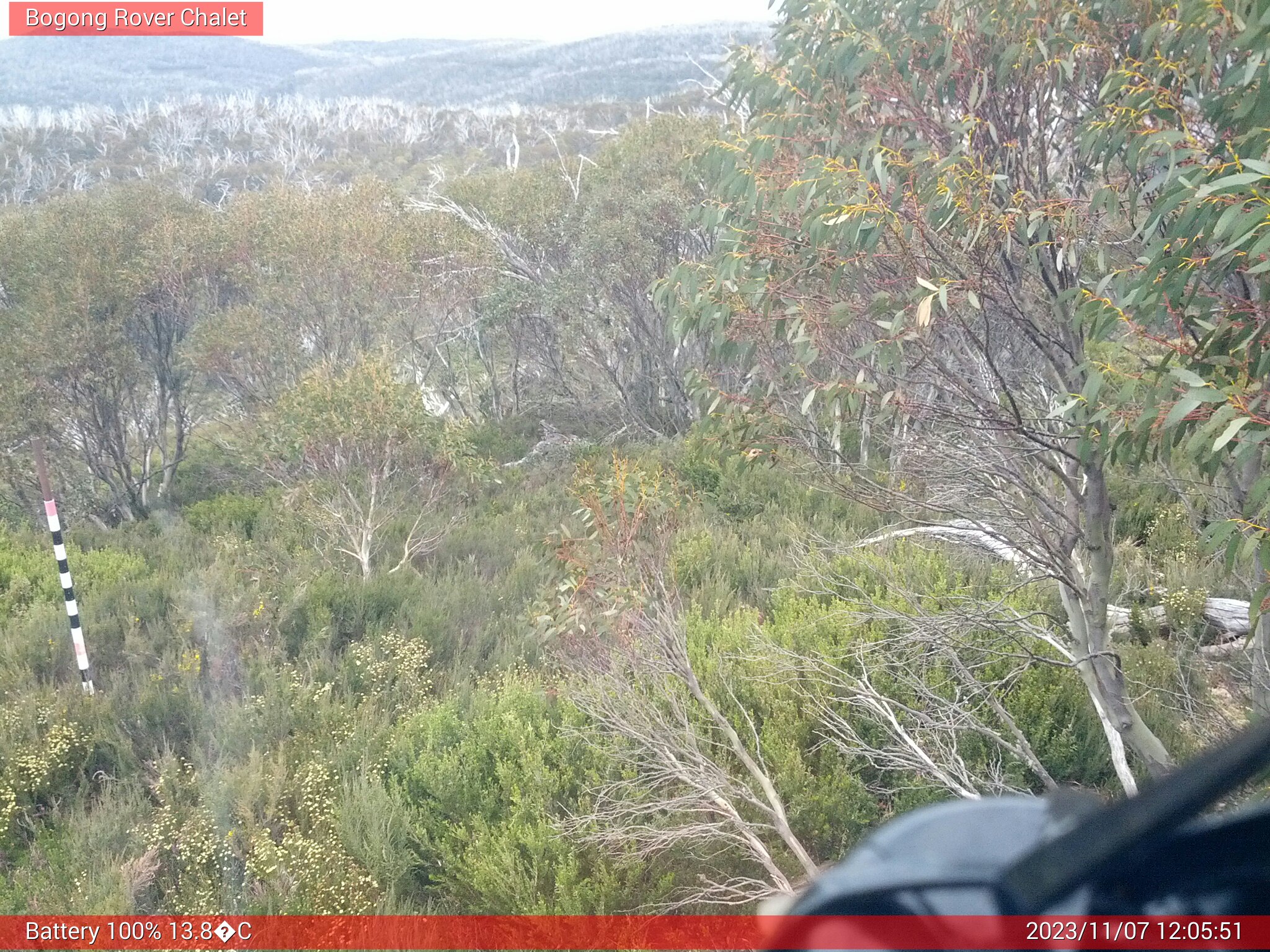 Bogong Web Cam 12:05pm Tuesday 7th of November 2023