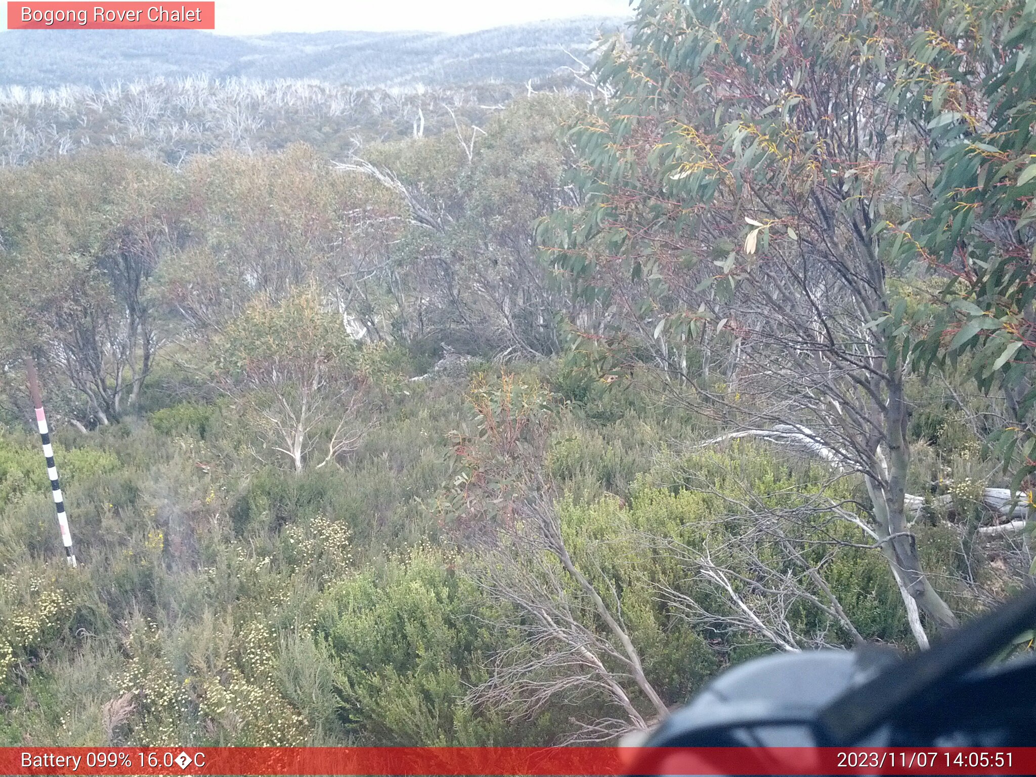 Bogong Web Cam 2:05pm Tuesday 7th of November 2023