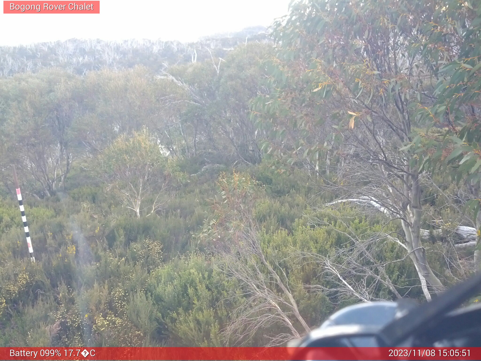 Bogong Web Cam 3:05pm Wednesday 8th of November 2023