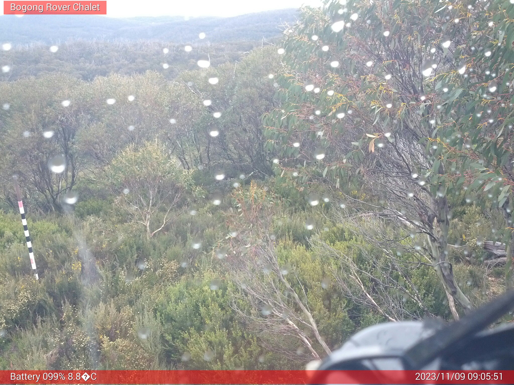 Bogong Web Cam 9:05am Thursday 9th of November 2023