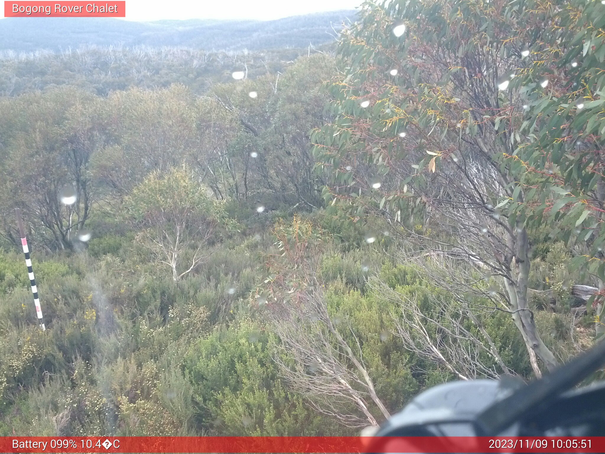 Bogong Web Cam 10:05am Thursday 9th of November 2023