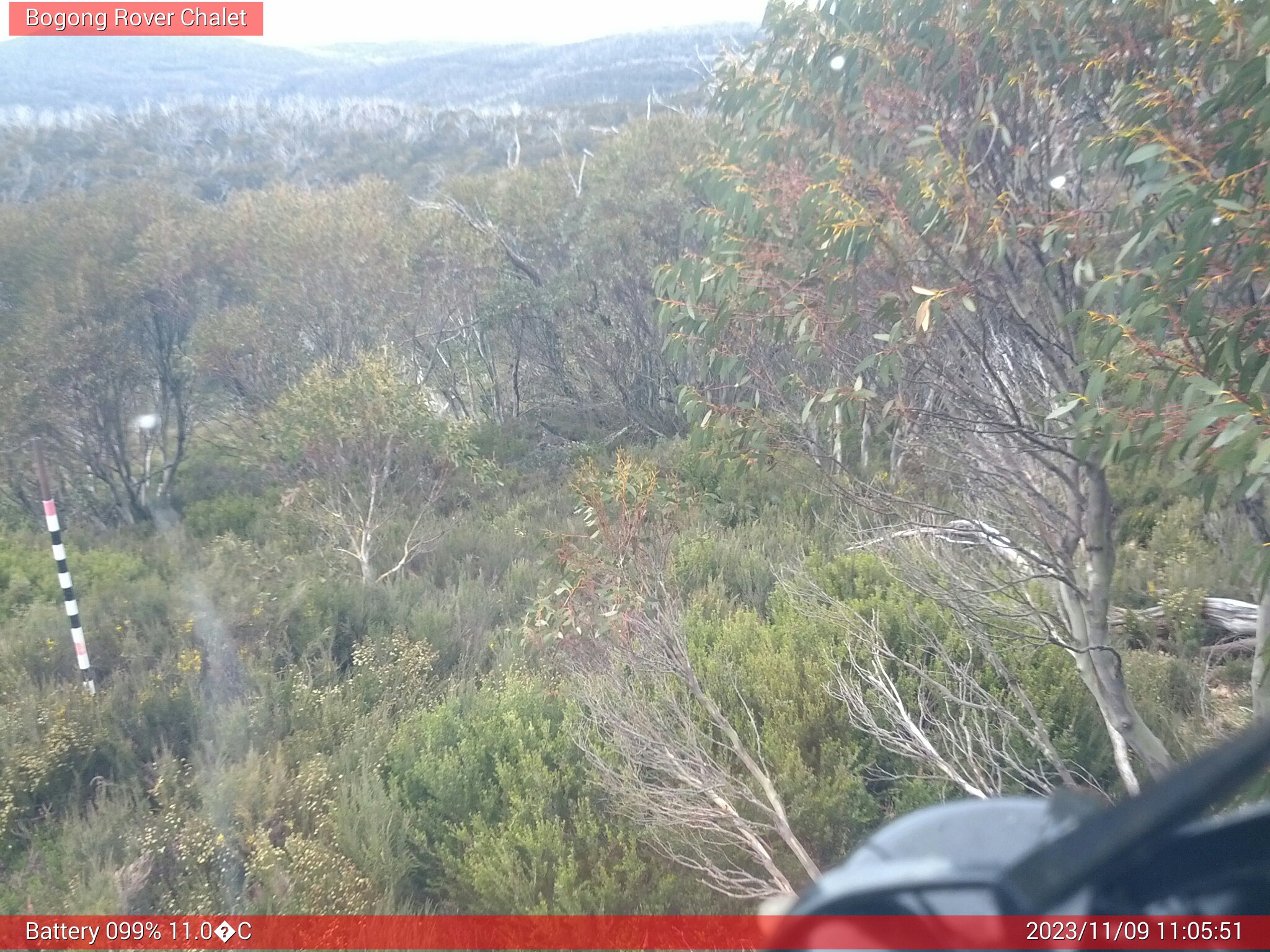 Bogong Web Cam 11:05am Thursday 9th of November 2023