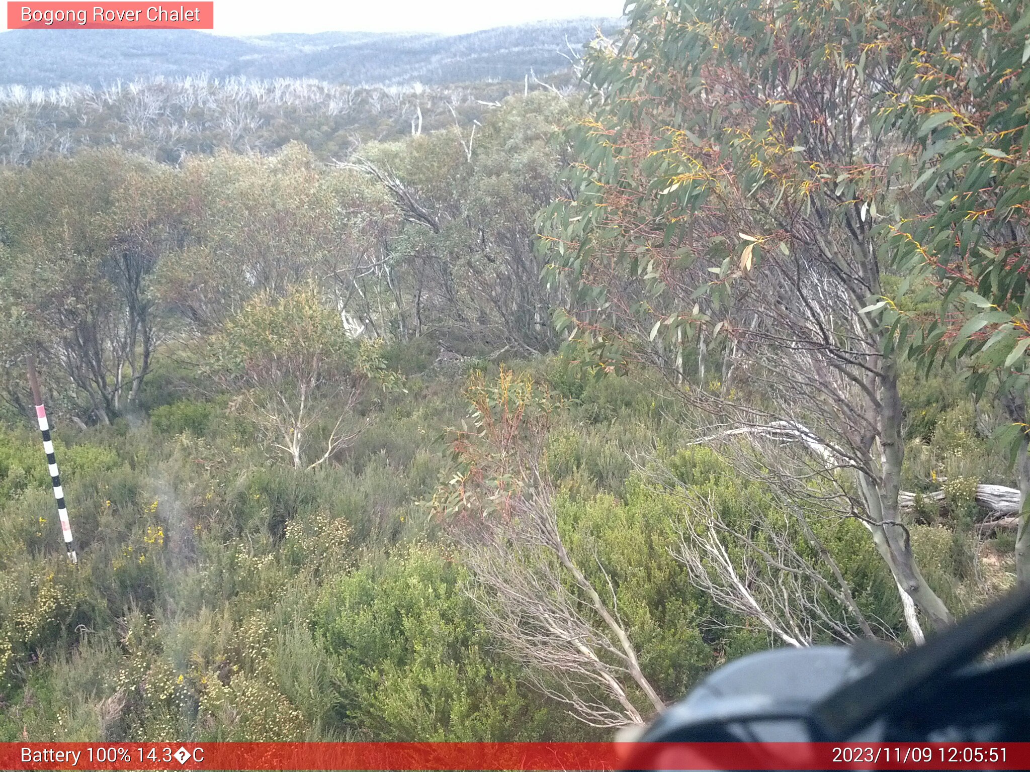 Bogong Web Cam 12:05pm Thursday 9th of November 2023