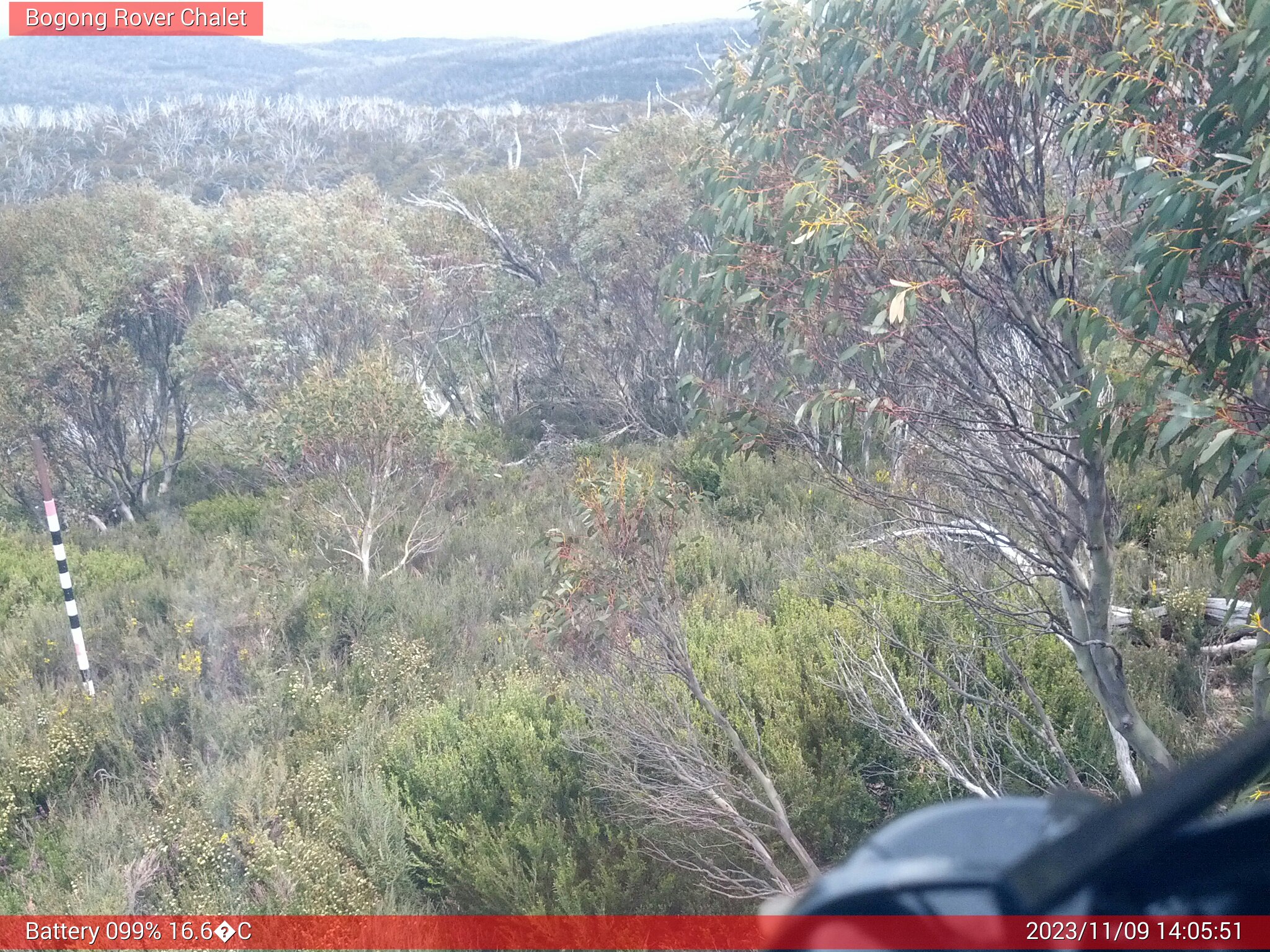 Bogong Web Cam 2:05pm Thursday 9th of November 2023