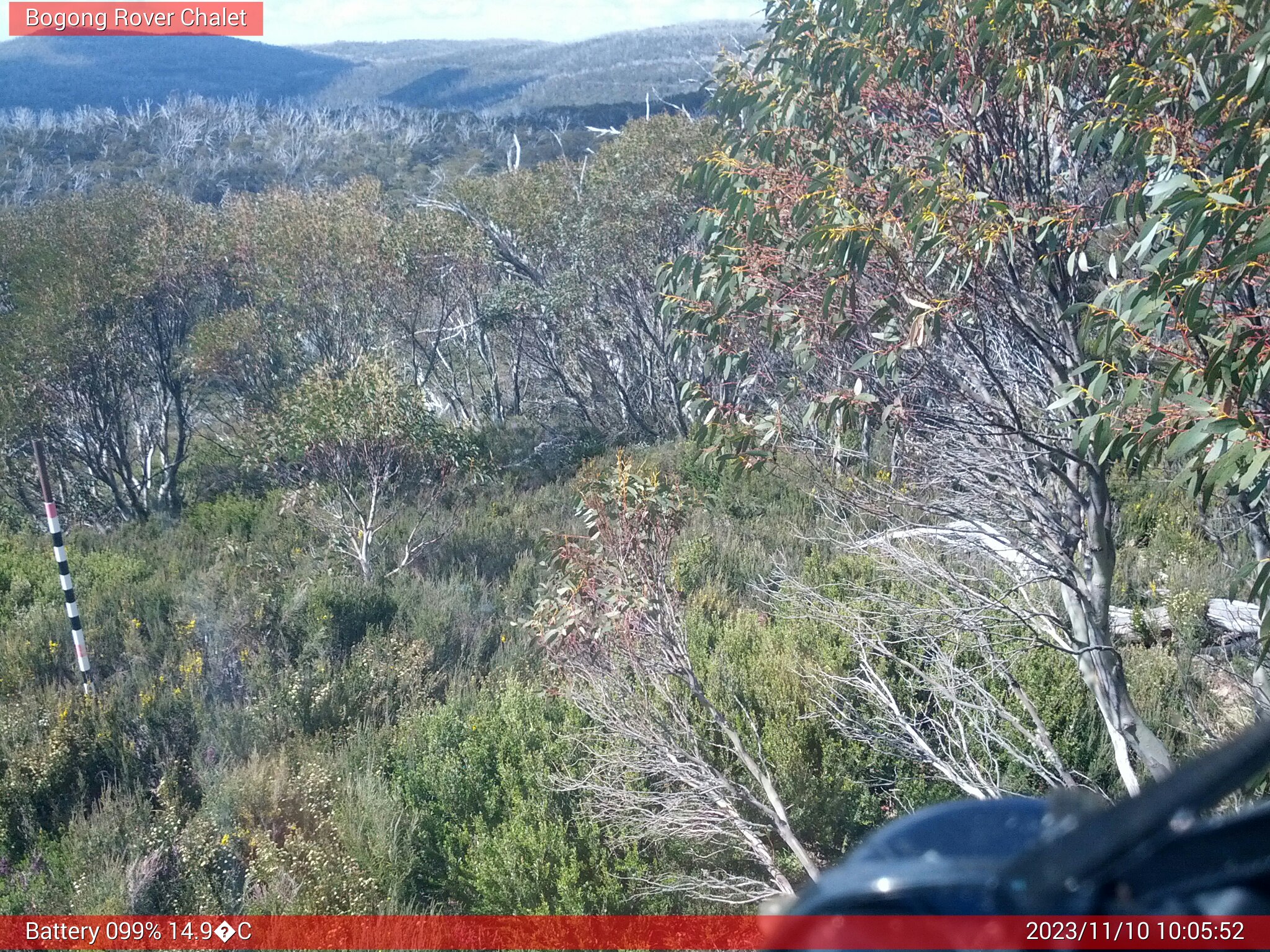 Bogong Web Cam 10:05am Friday 10th of November 2023