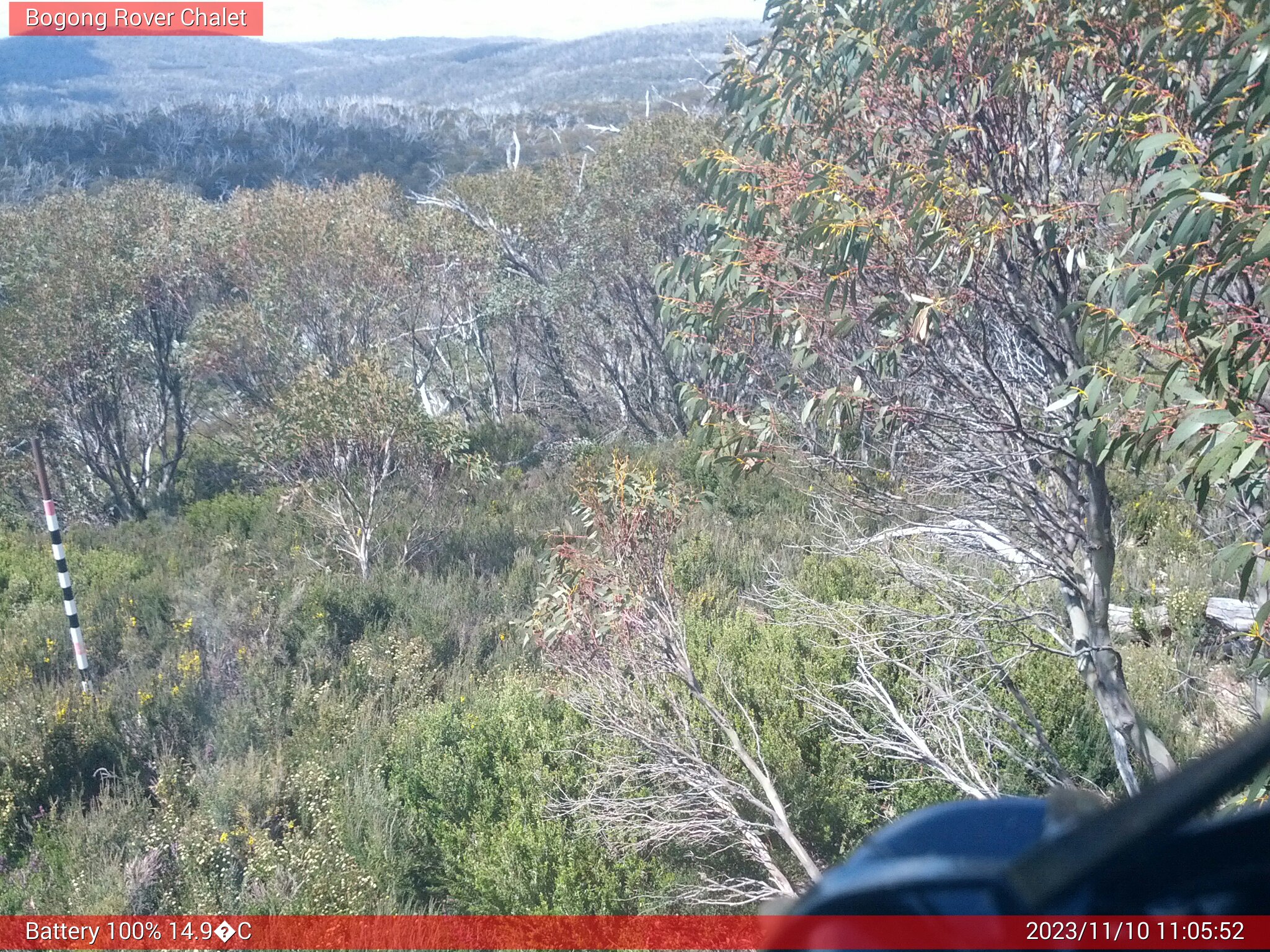 Bogong Web Cam 11:05am Friday 10th of November 2023