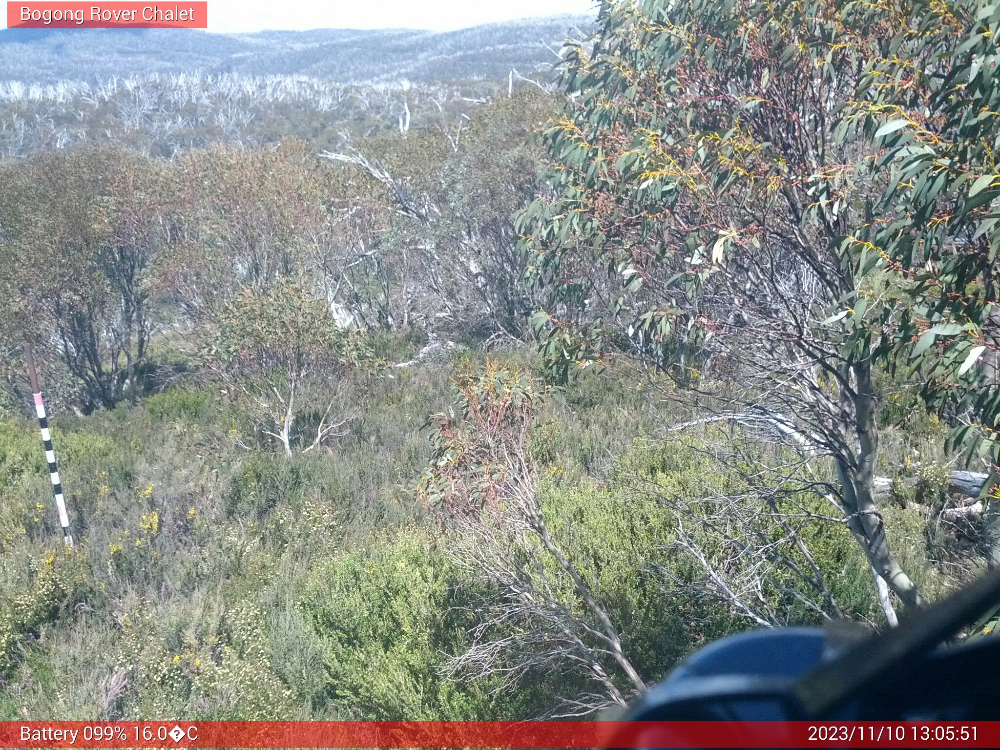 Bogong Web Cam 1:05pm Friday 10th of November 2023