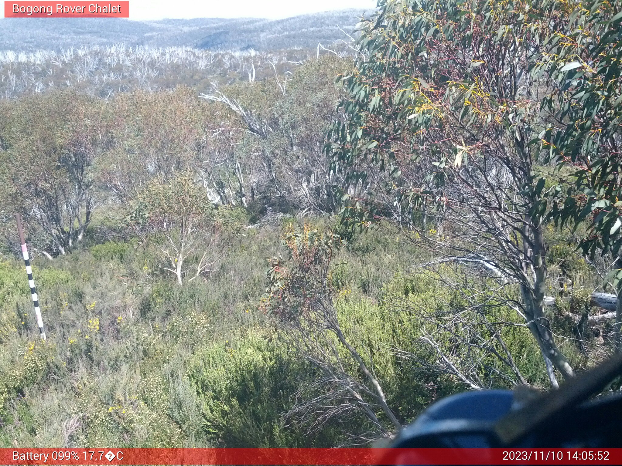 Bogong Web Cam 2:05pm Friday 10th of November 2023